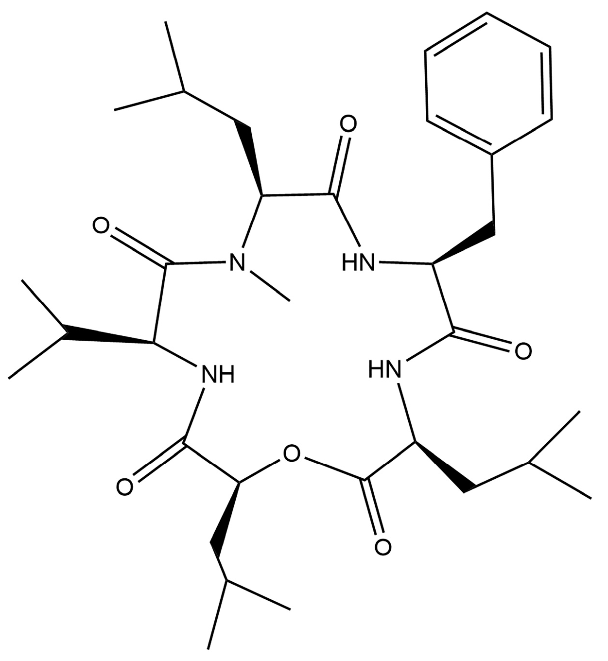 Fermentation 10 00140 g001