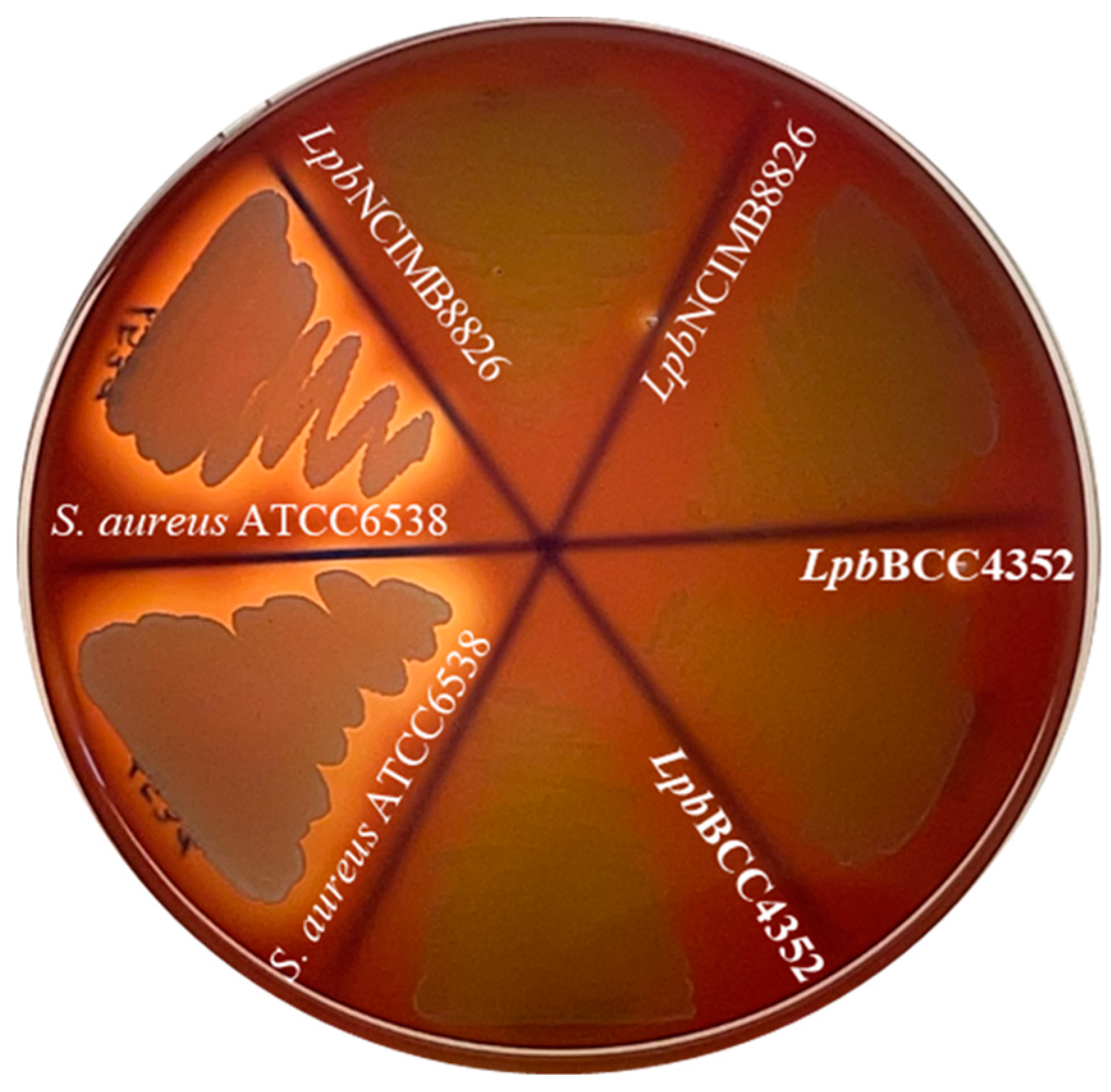 Fermentation 10 00145 g007