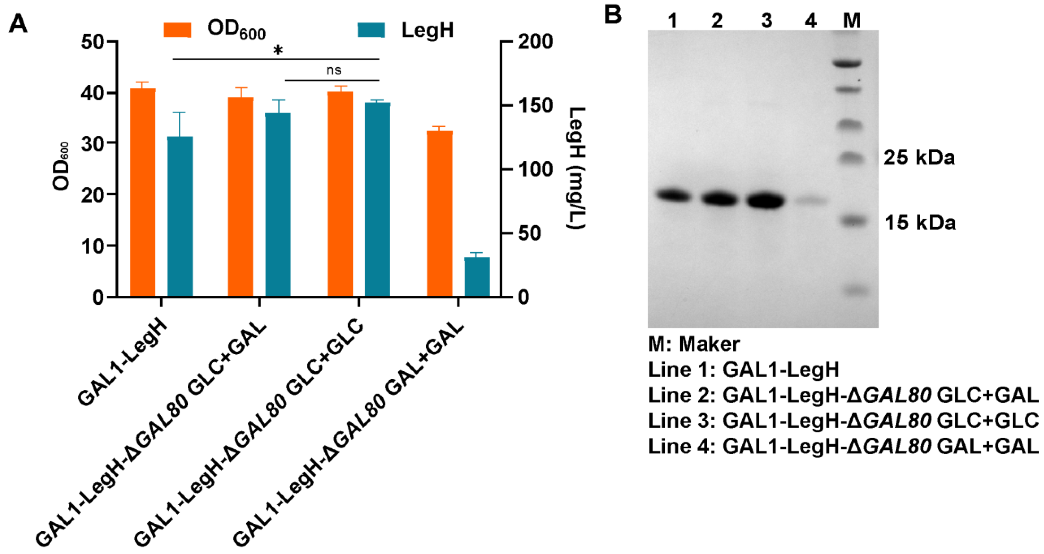 Fermentation 10 00146 g002