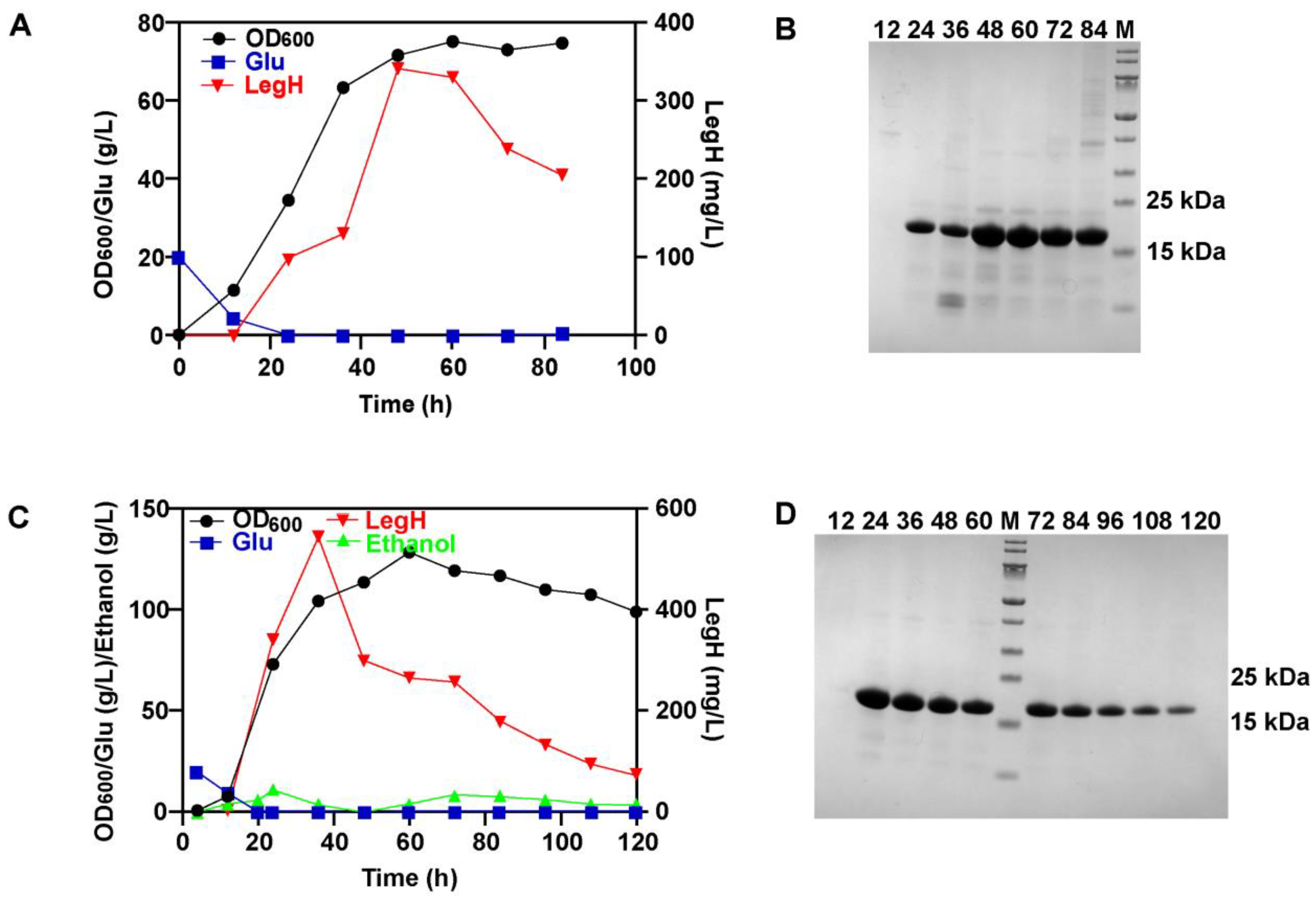 Fermentation 10 00146 g004
