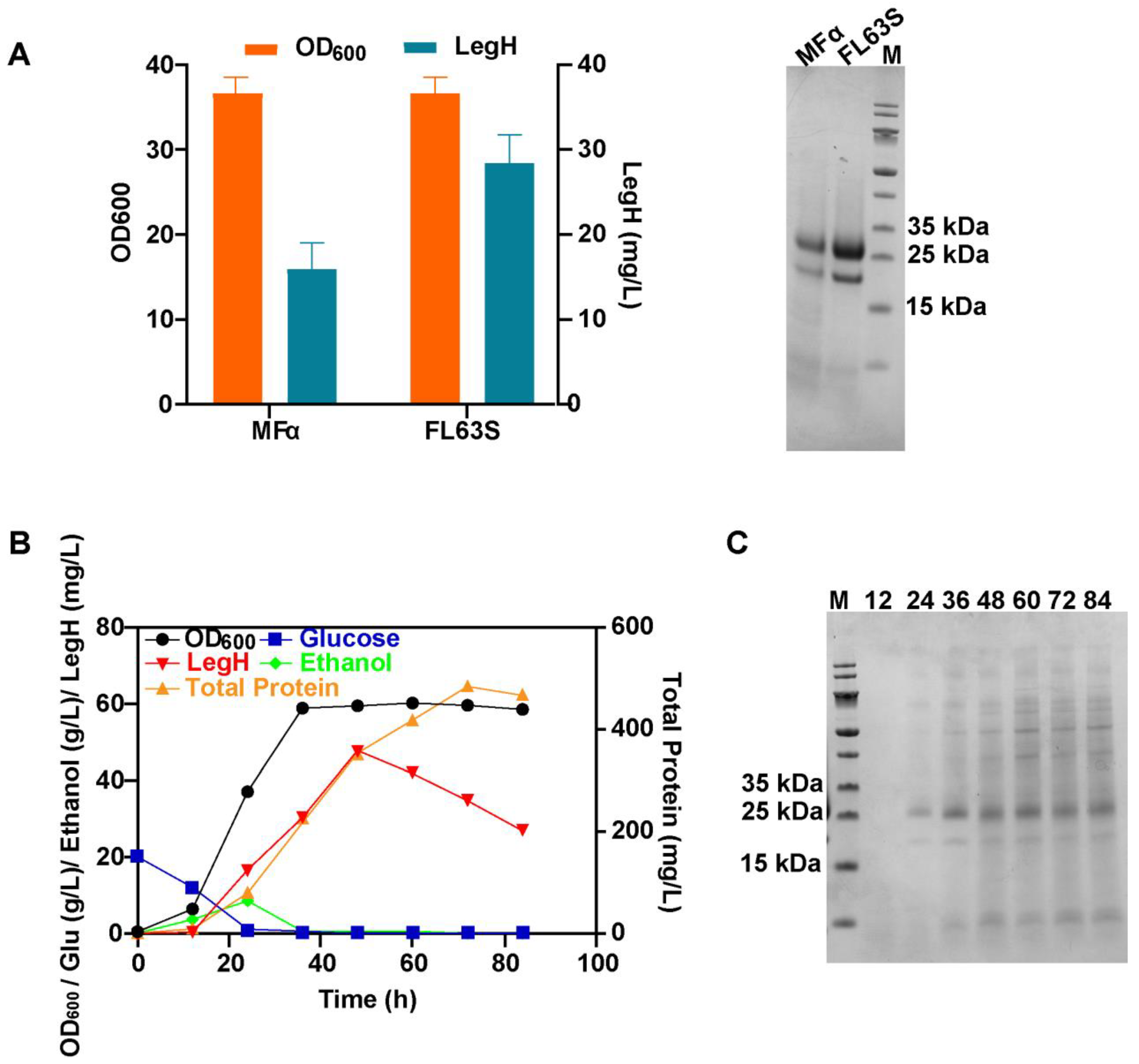 Fermentation 10 00146 g007