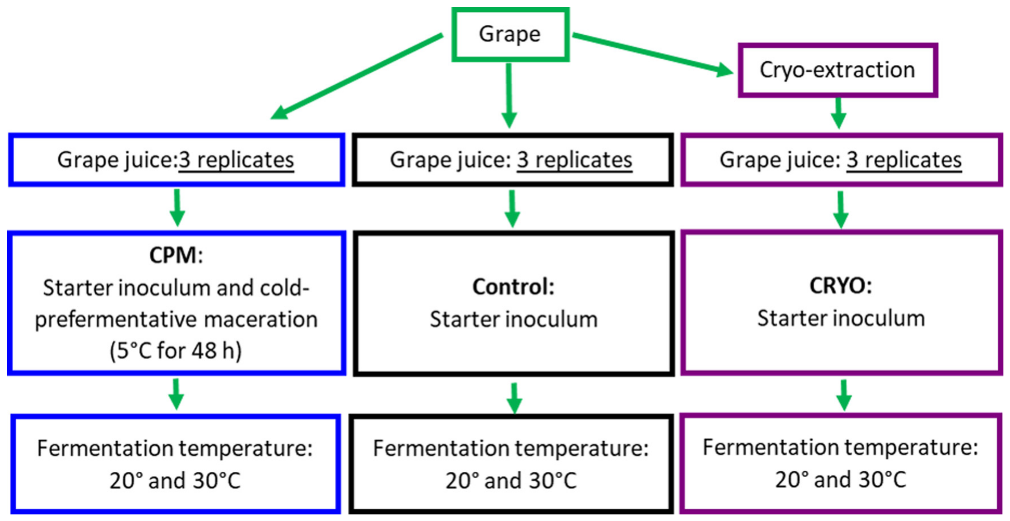 Fermentation 10 00148 g001