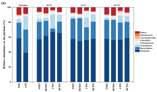 Effect of Biochar in Modulating Anaerobic Digestion Performance and ...