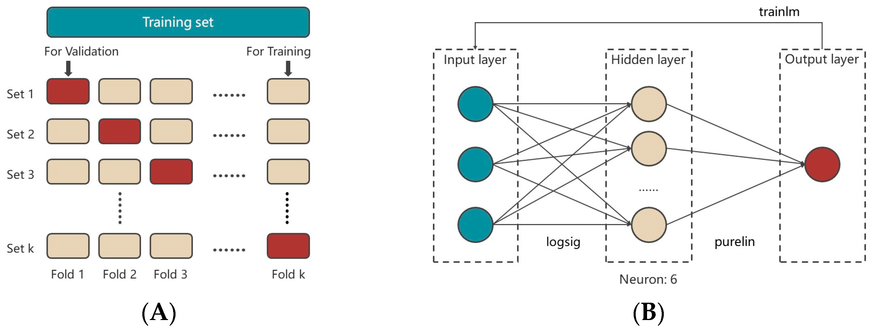 Fermentation 10 00154 g003