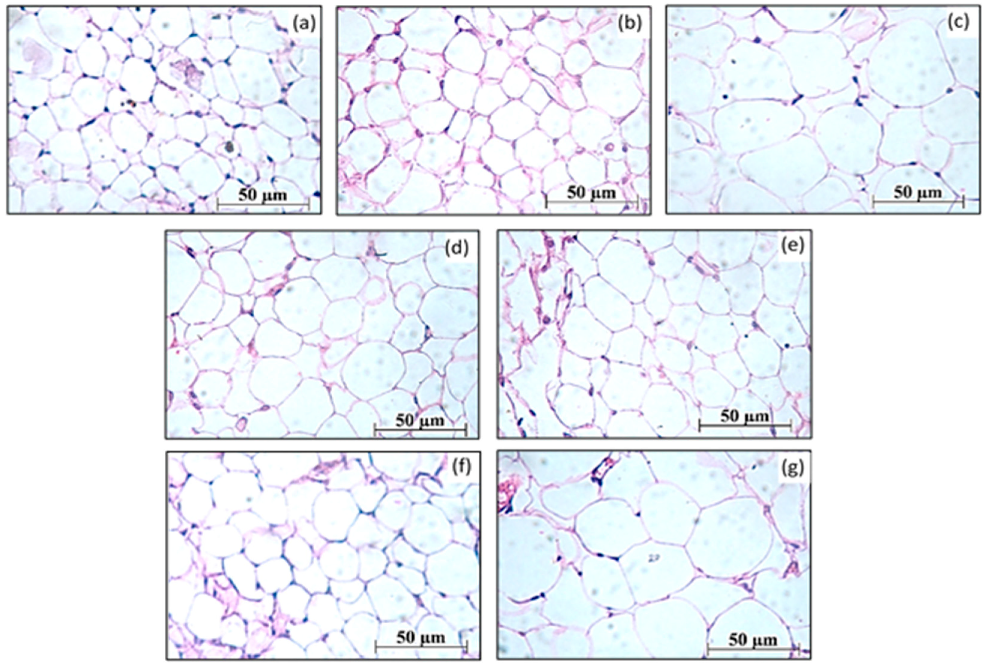 Fermentation 10 00155 g001