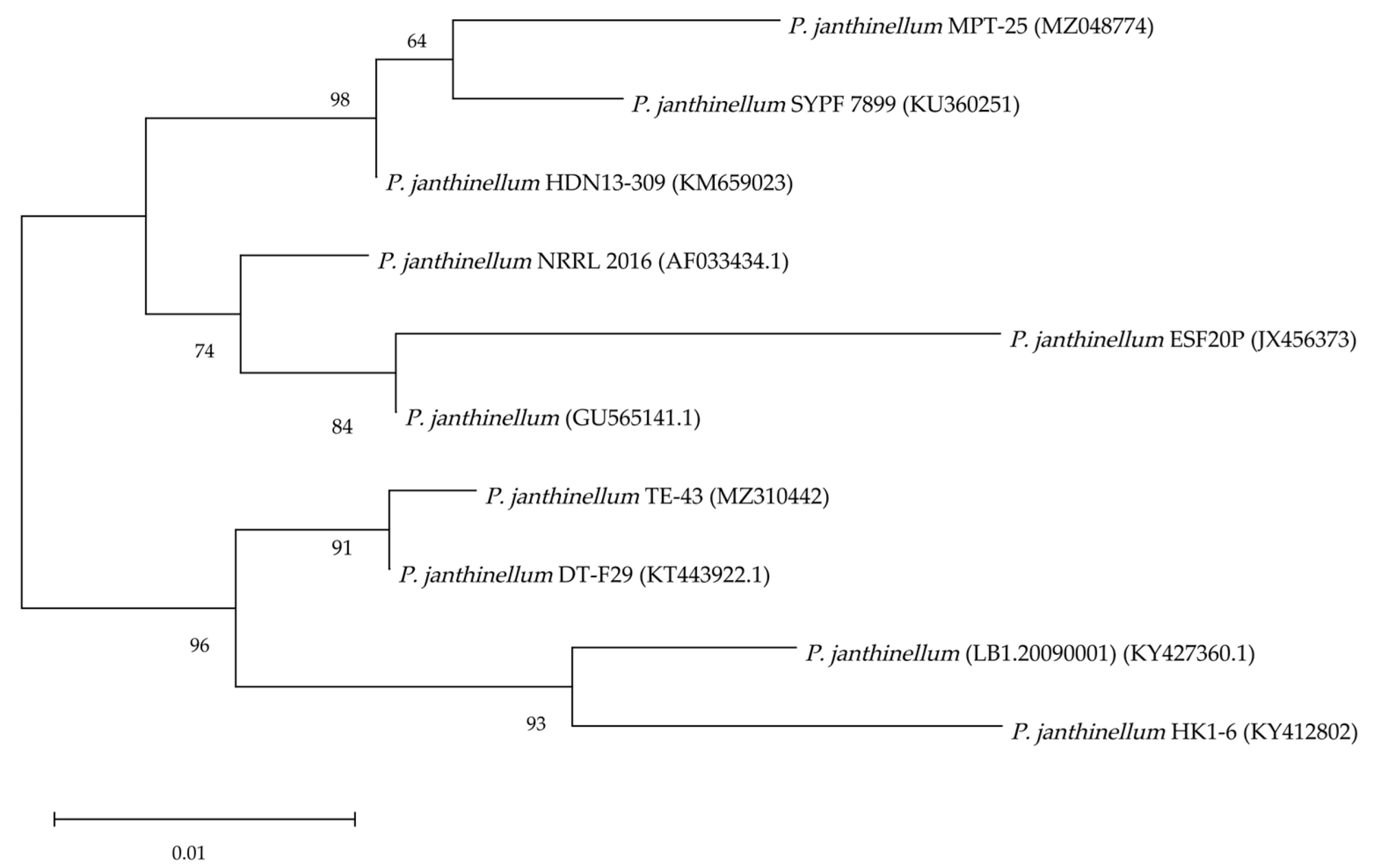 Fermentation 10 00157 g011