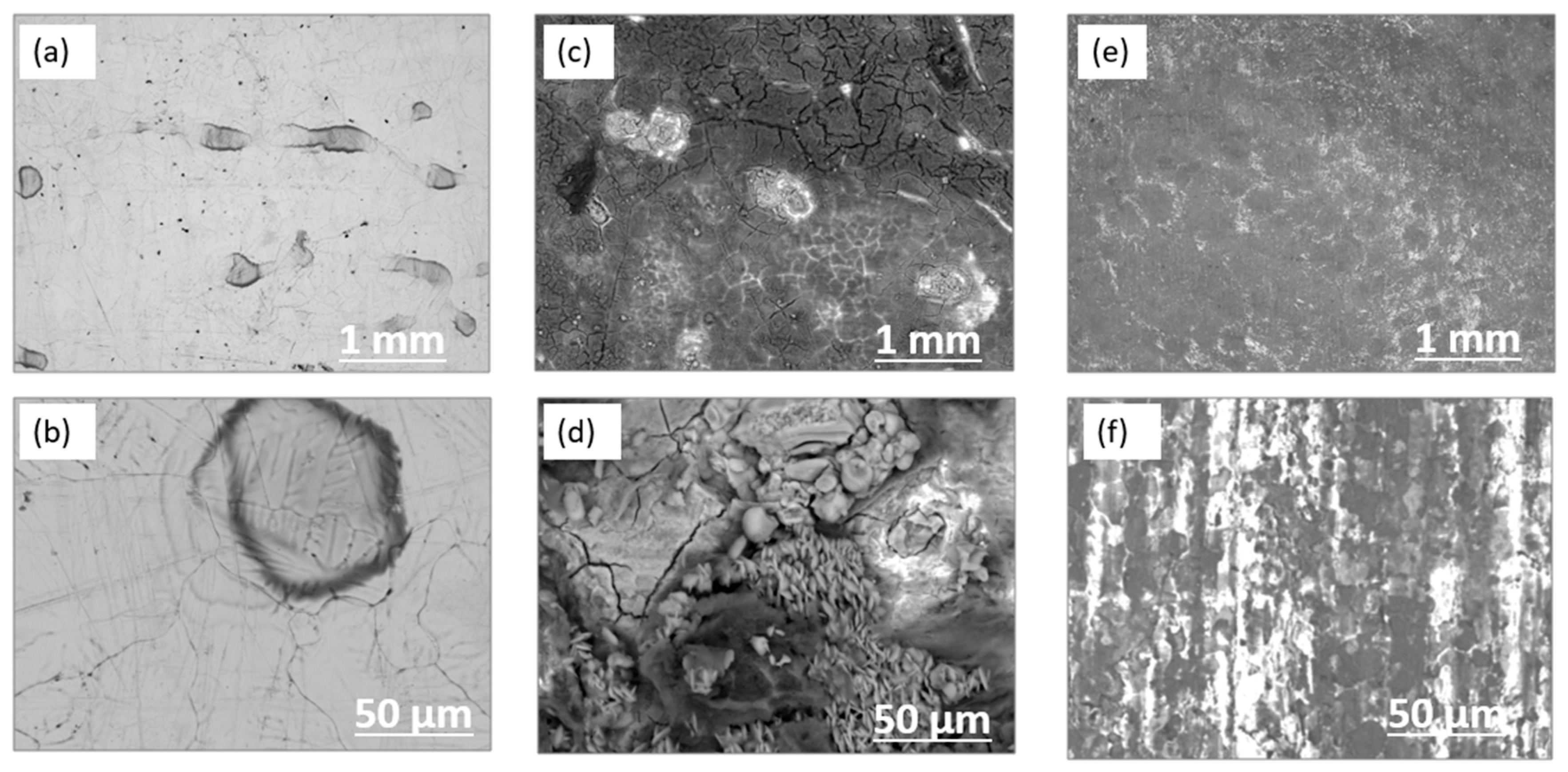 Fermentation 10 00159 g003