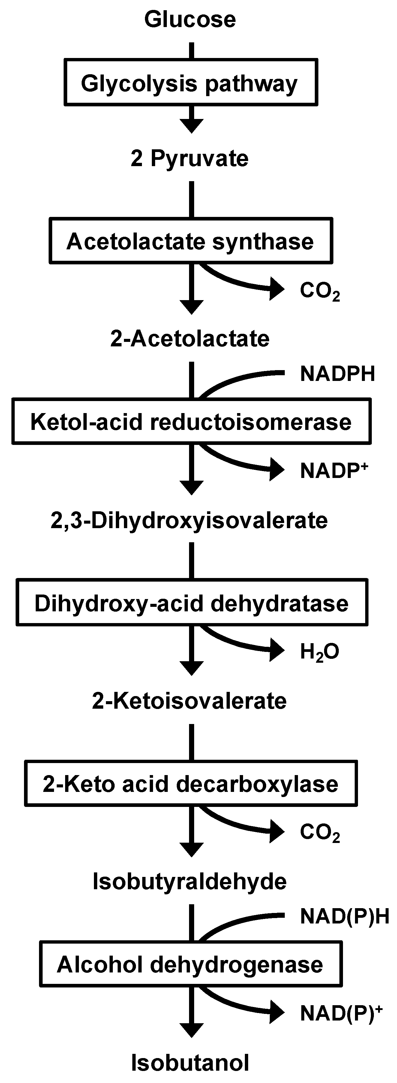 Fermentation 10 00161 g002
