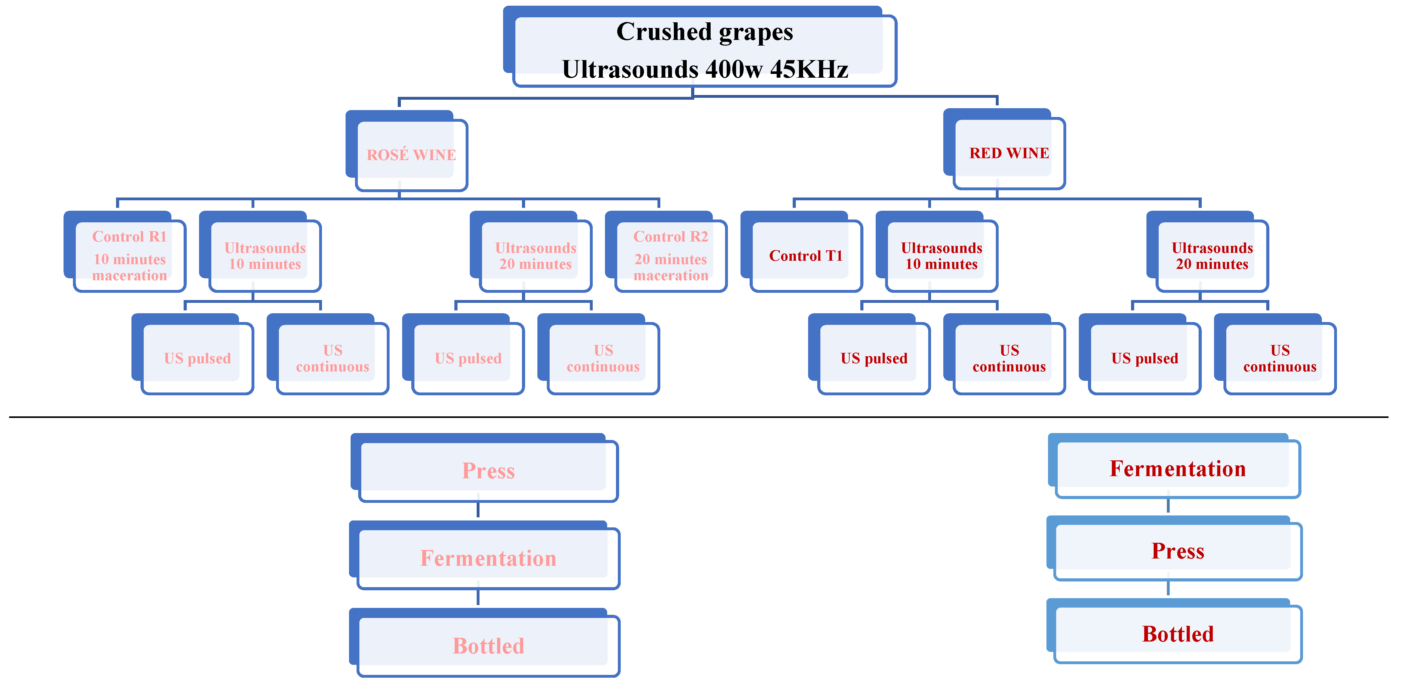 Fermentation 10 00164 g001