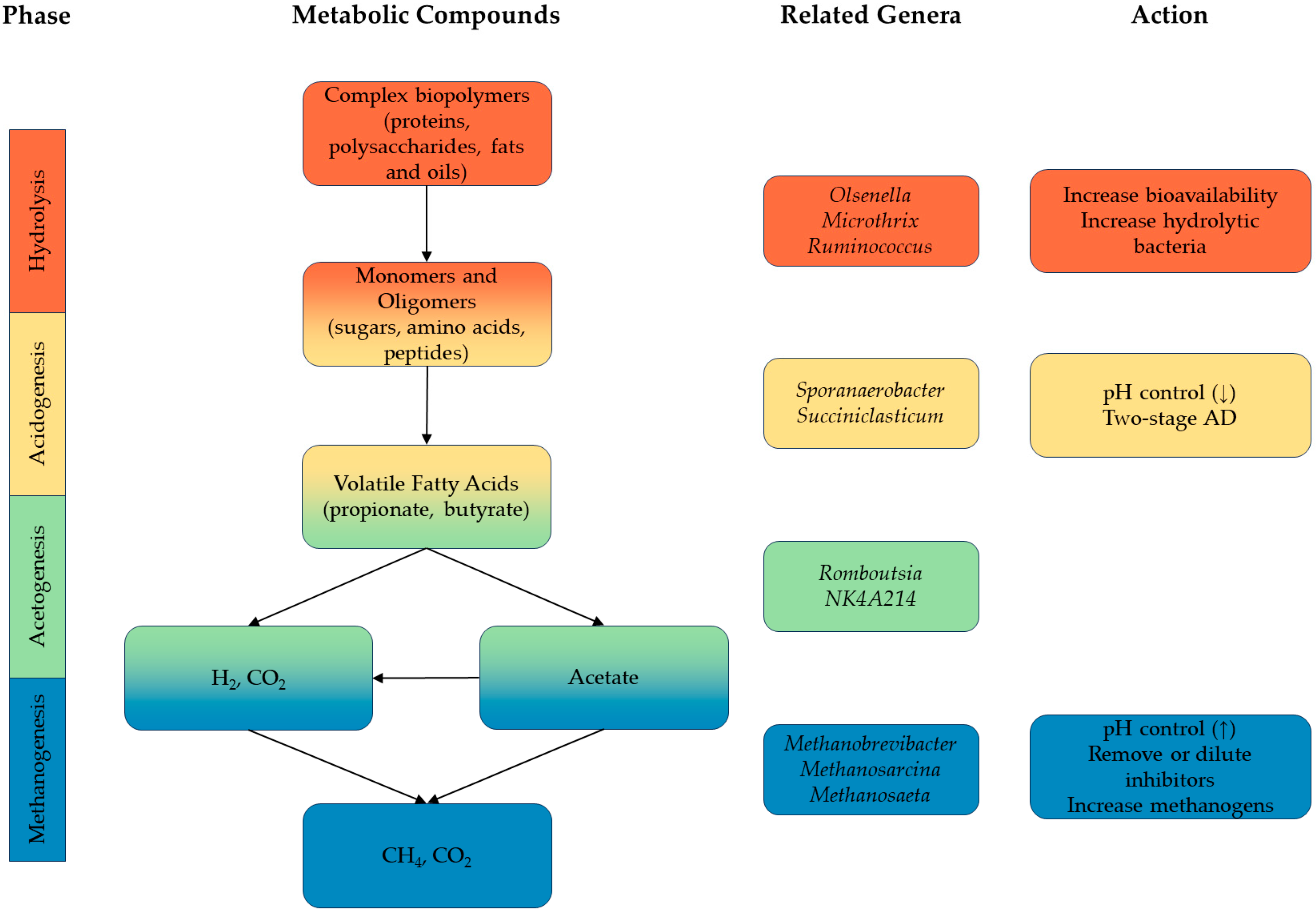 Fermentation 10 00165 g001