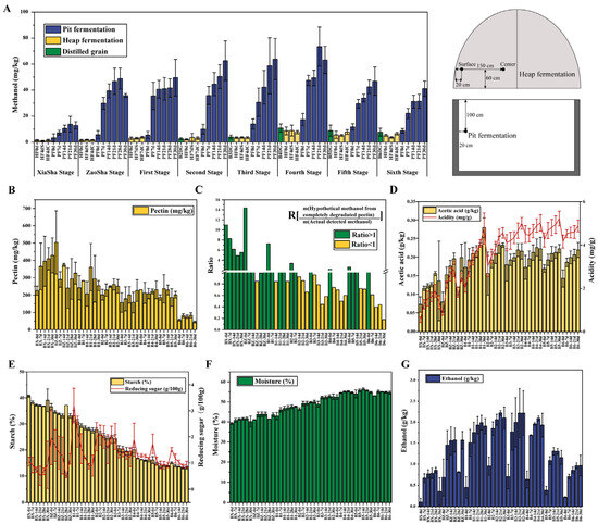 Multi-Omics Analysis of the Co-Regulation of Wood Alcohol