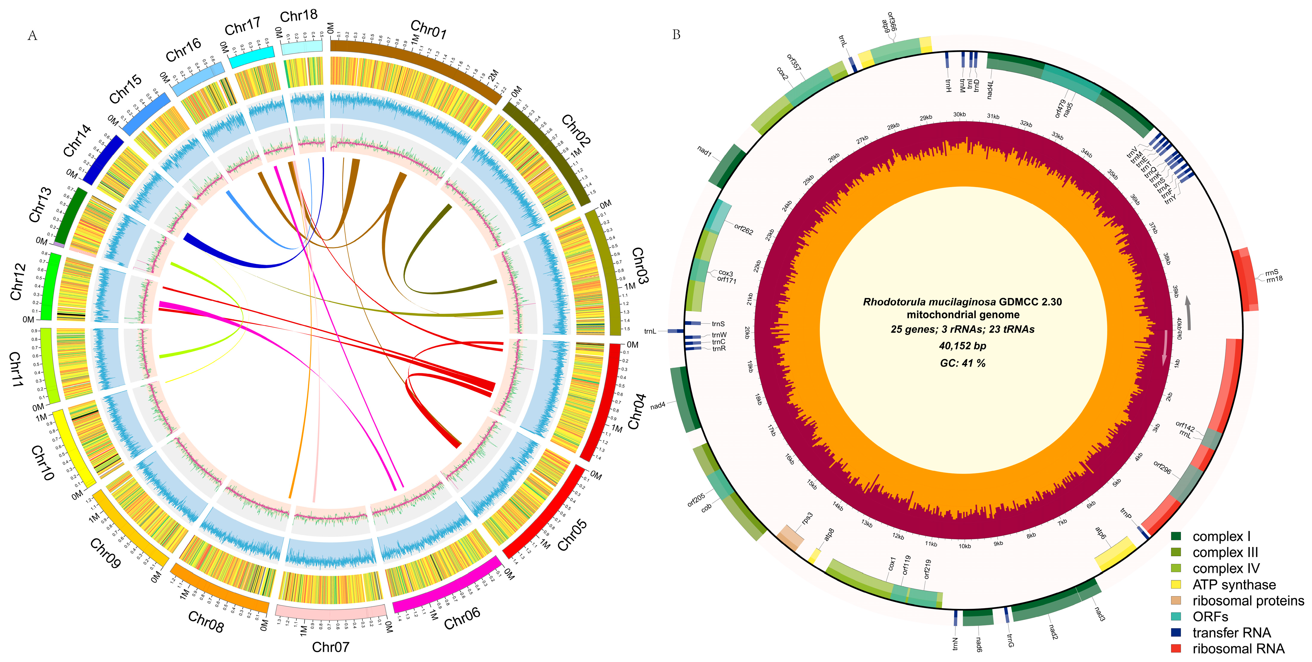 Fermentation 10 00176 g002 Fermentation 10 00176 g002