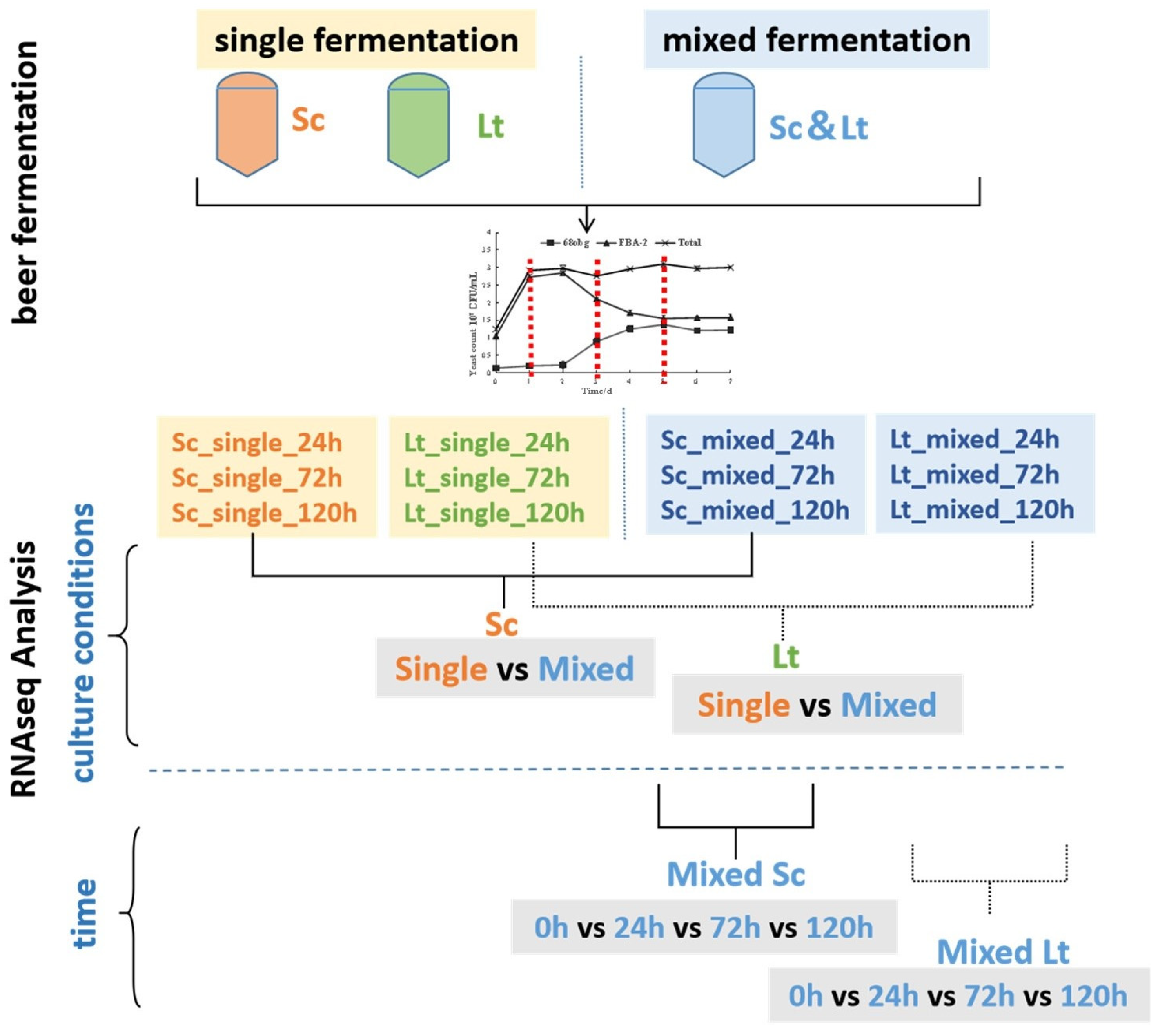 Fermentation 10 00180 g004 Fermentation 10 00180 g004