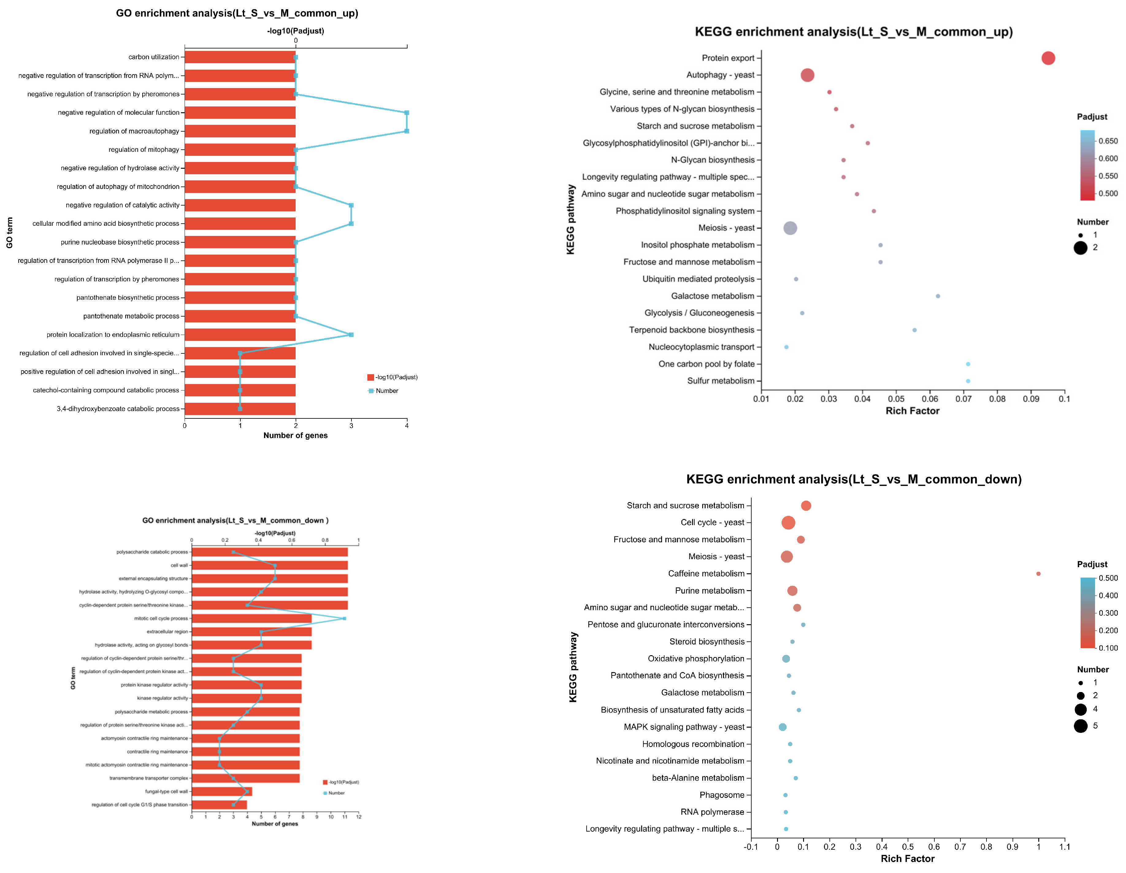 Fermentation 10 00180 g008 Fermentation 10 00180 g008