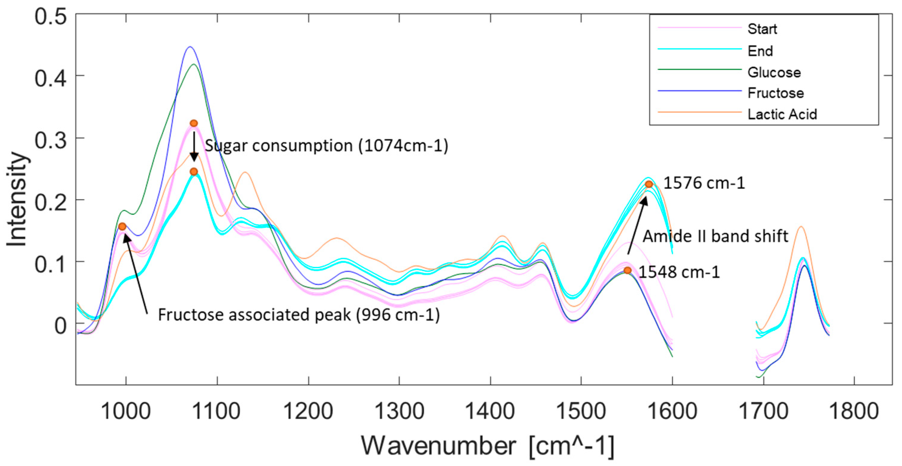 Fermentation 10 00189 g005