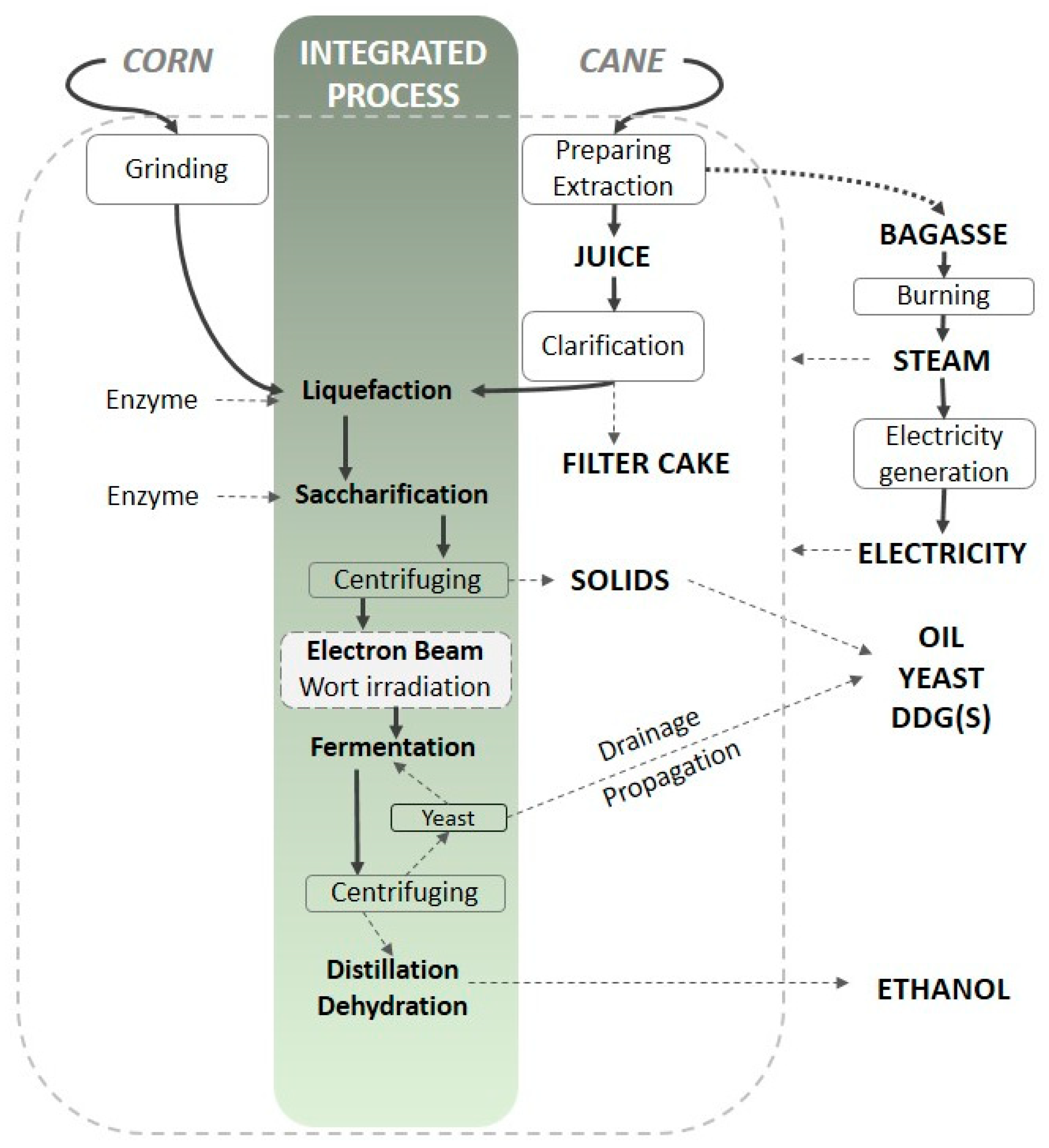 Fermentation 10 00193 g002