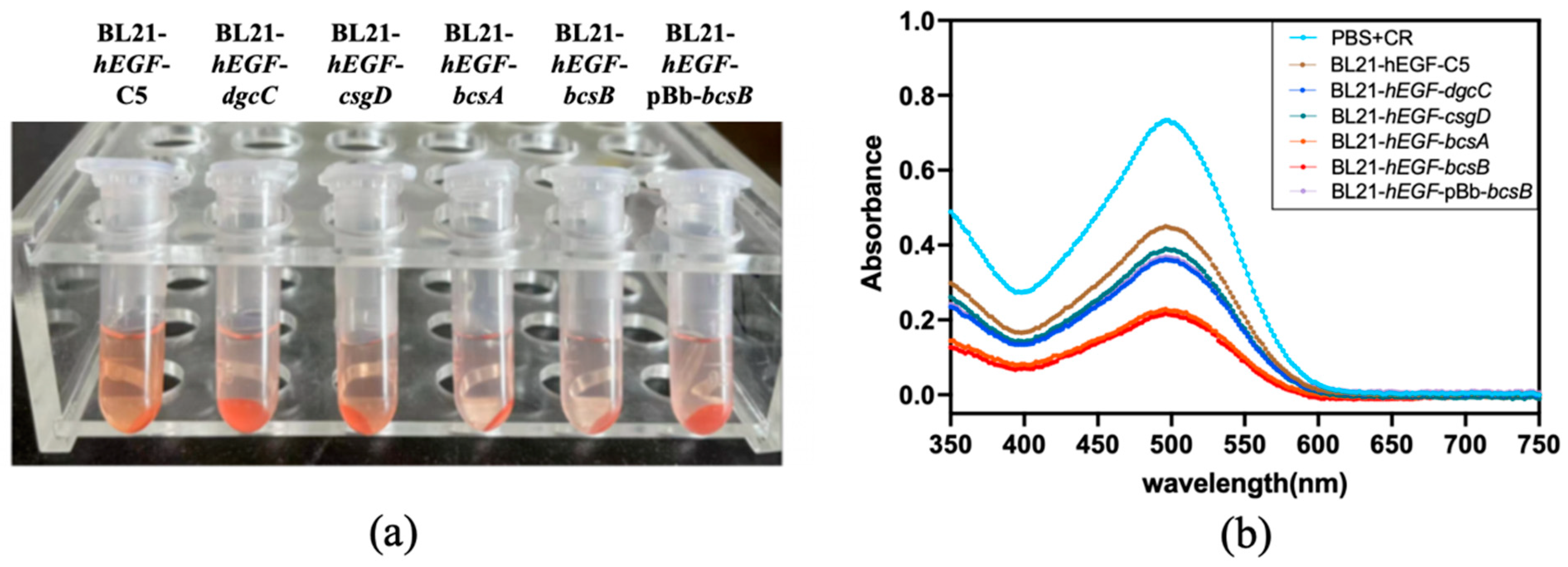 Fermentation 10 00202 g005