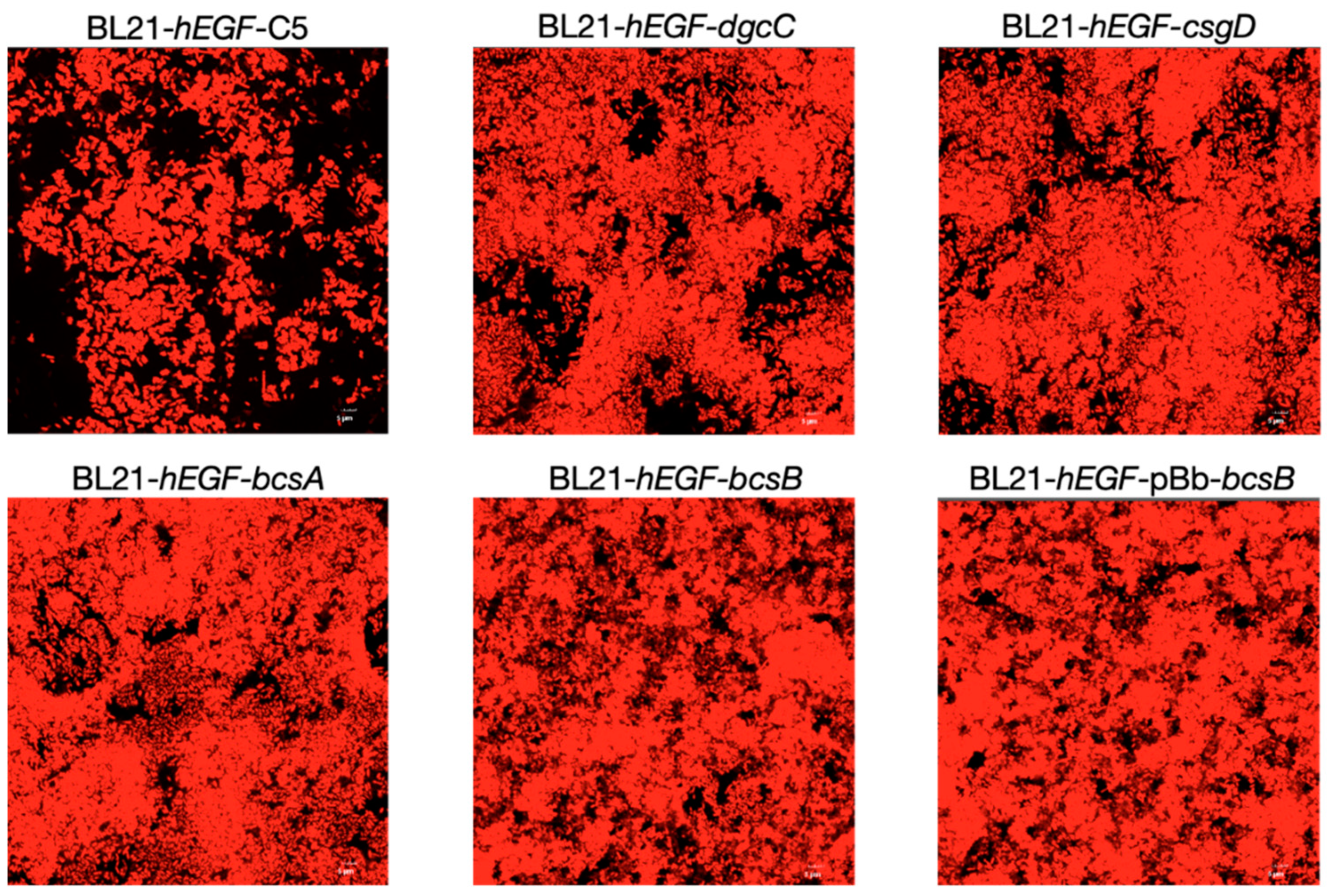 Fermentation 10 00202 g006