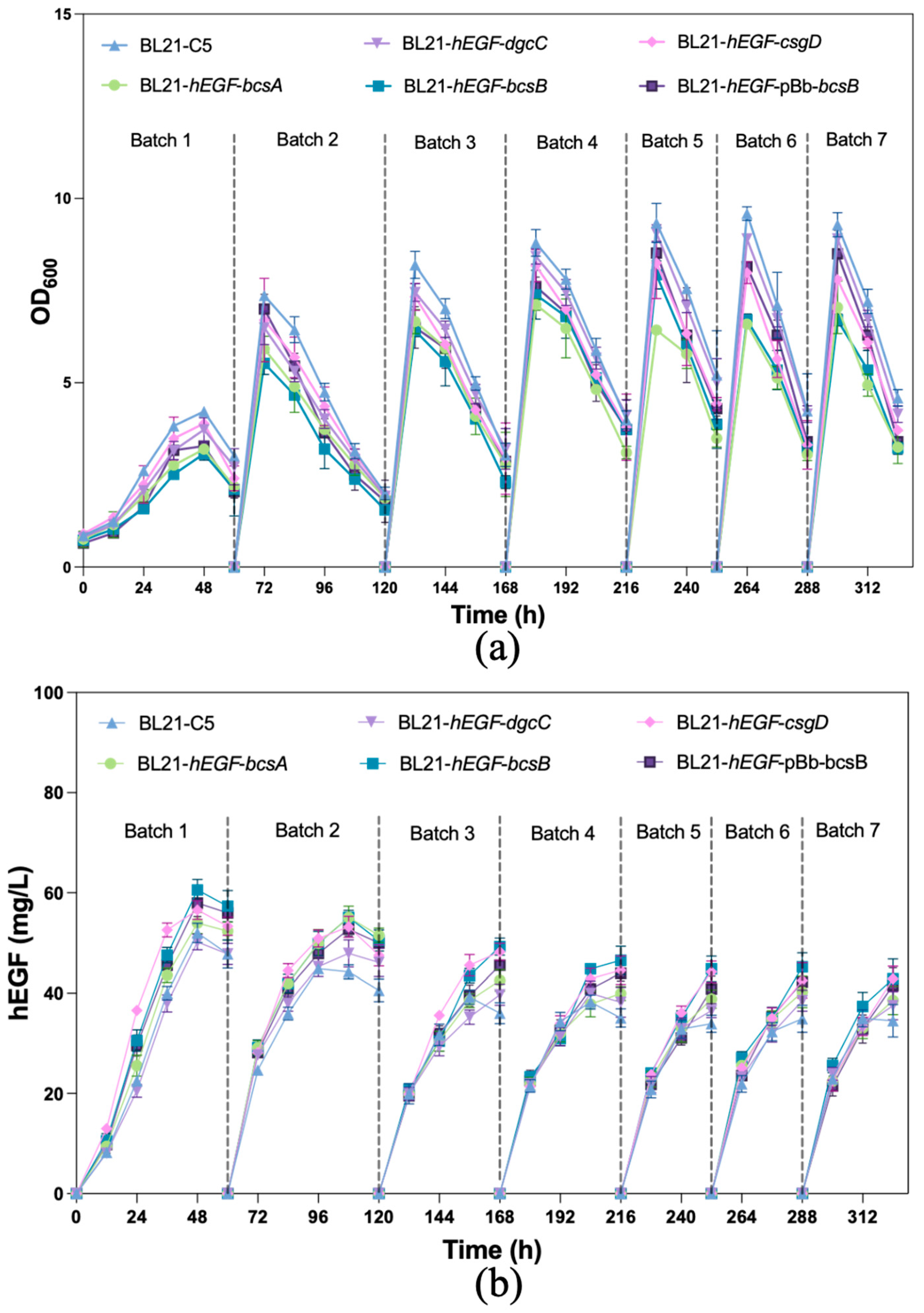 Fermentation 10 00202 g008