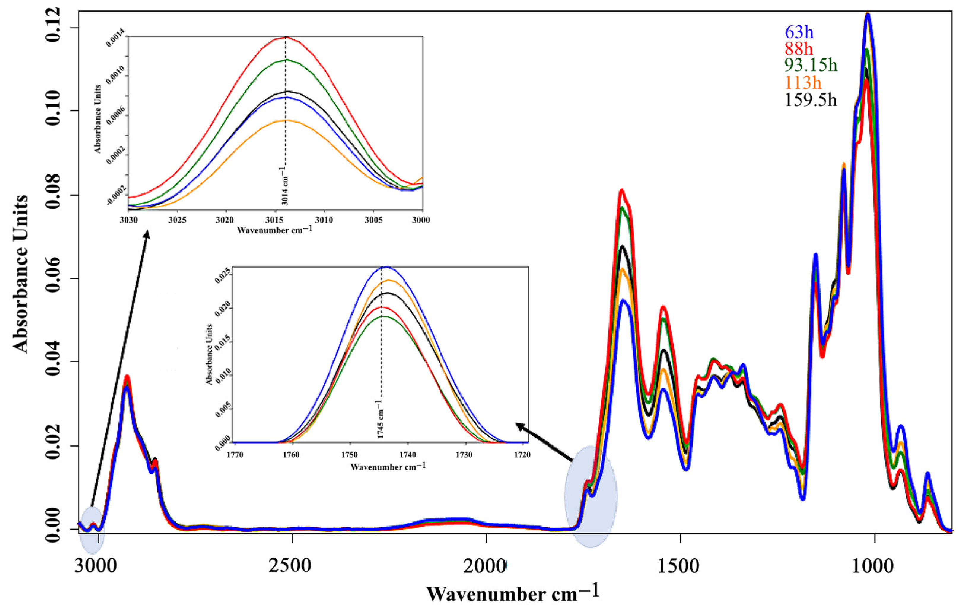 Fermentation 10 00203 g005