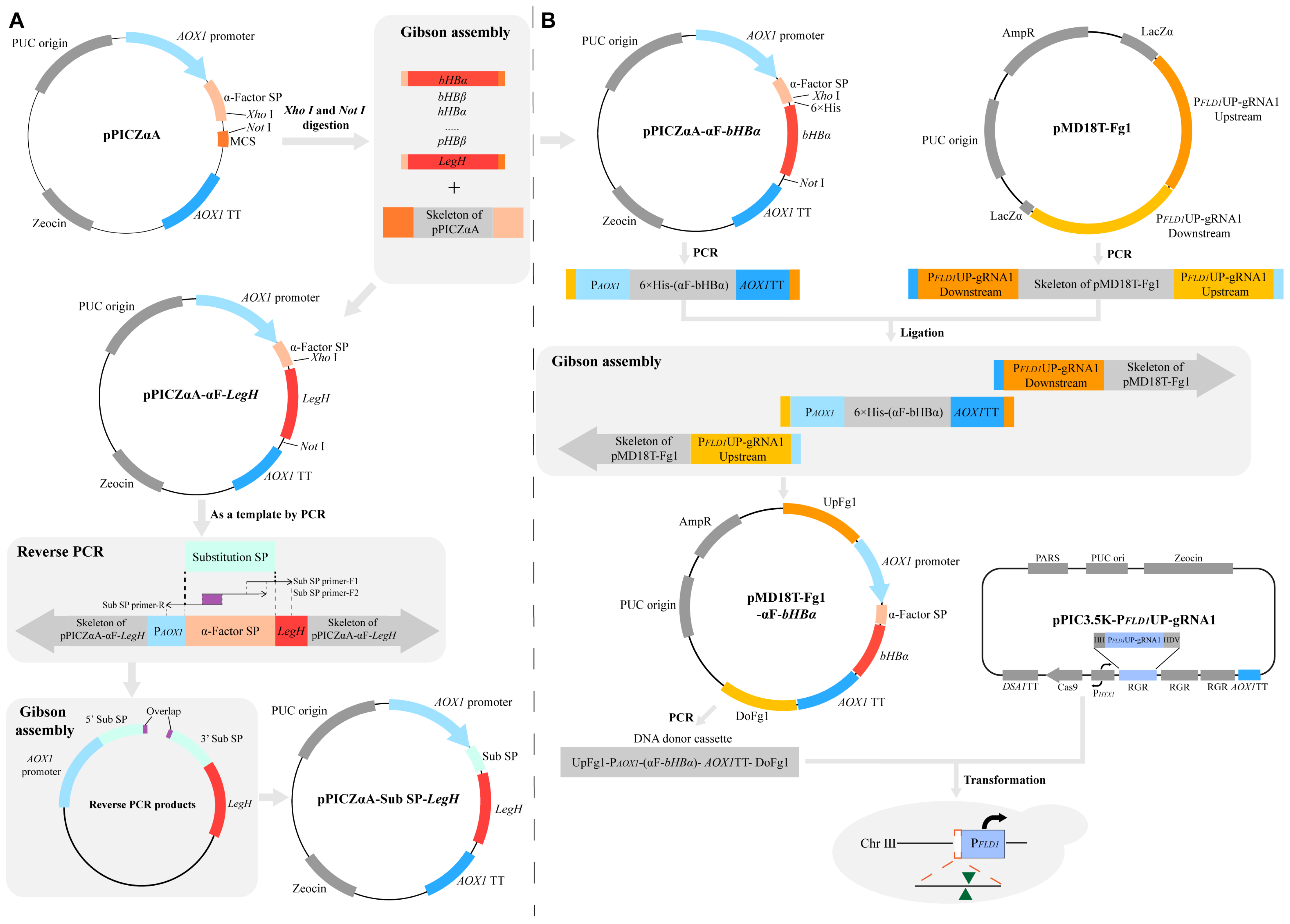 Fermentation 10 00208 g001 Fermentation 10 00208 g001