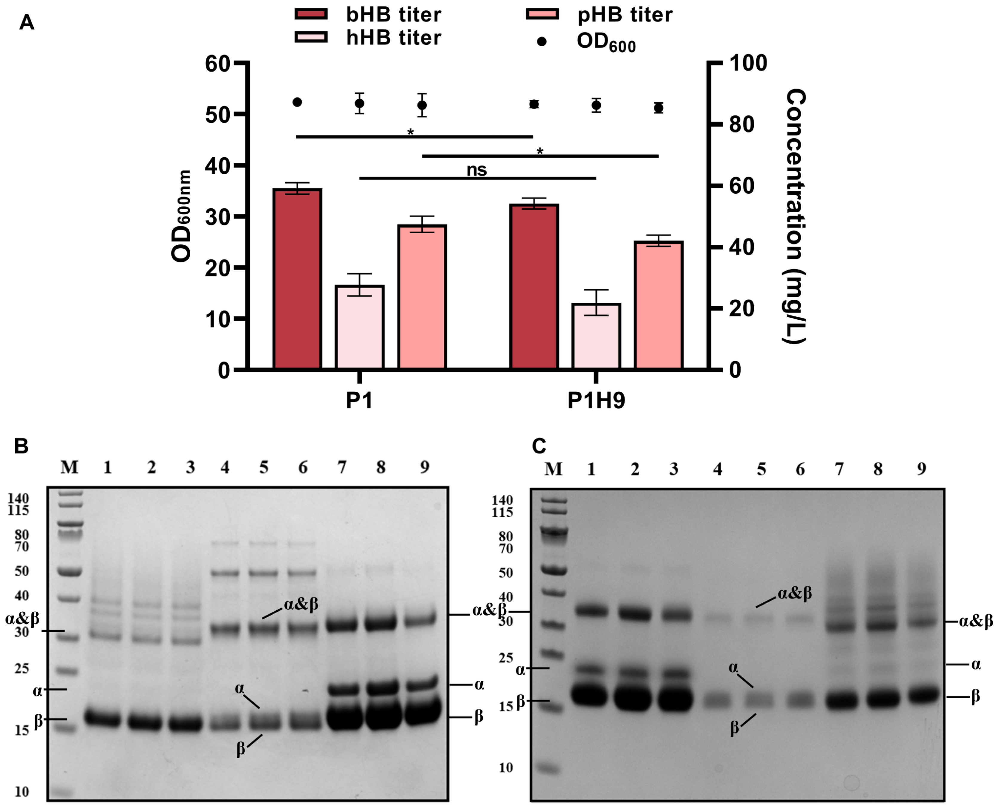Fermentation 10 00208 g002 Fermentation 10 00208 g002