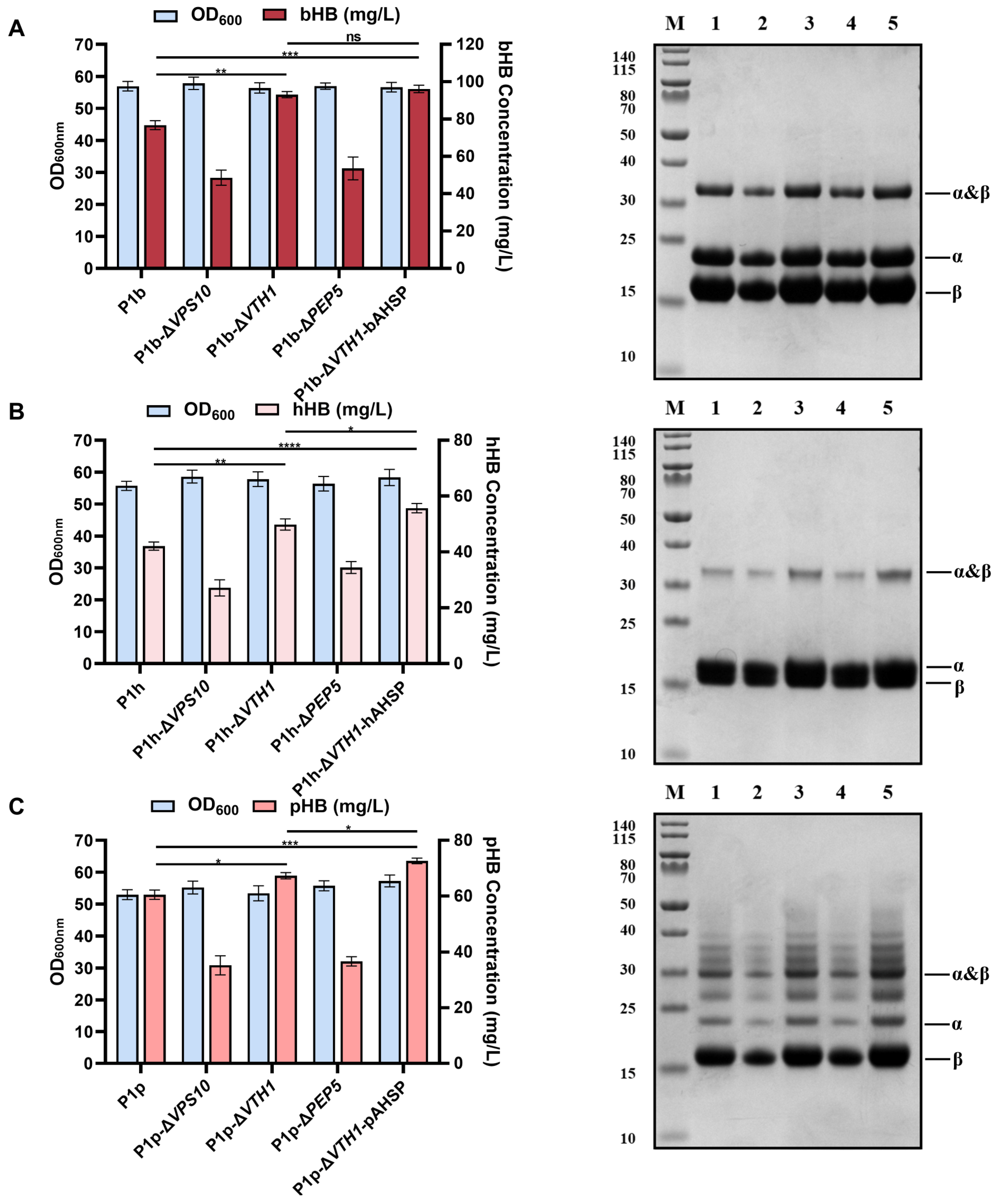 Fermentation 10 00208 g007 Fermentation 10 00208 g007