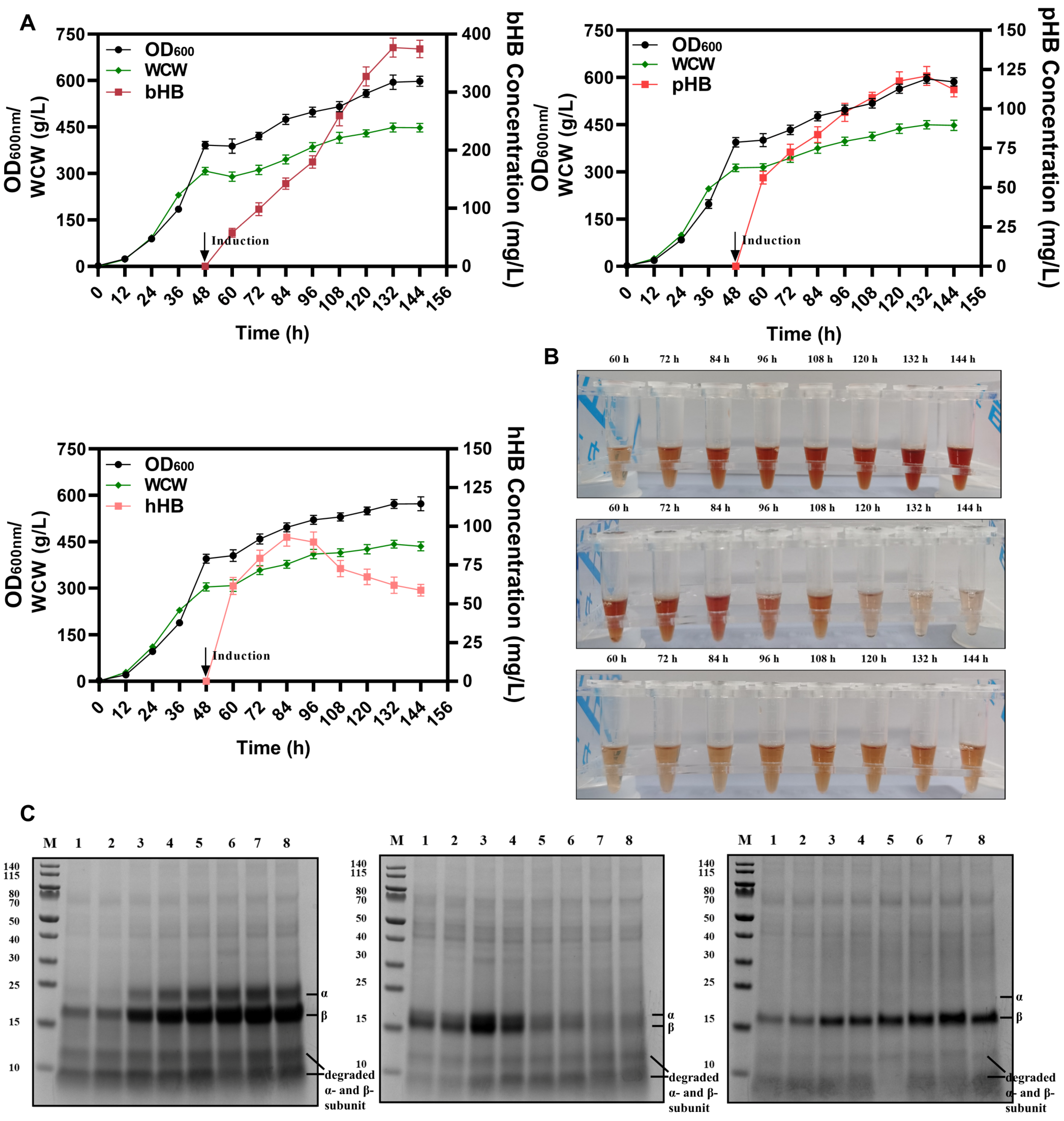 Fermentation 10 00208 g008 Fermentation 10 00208 g008