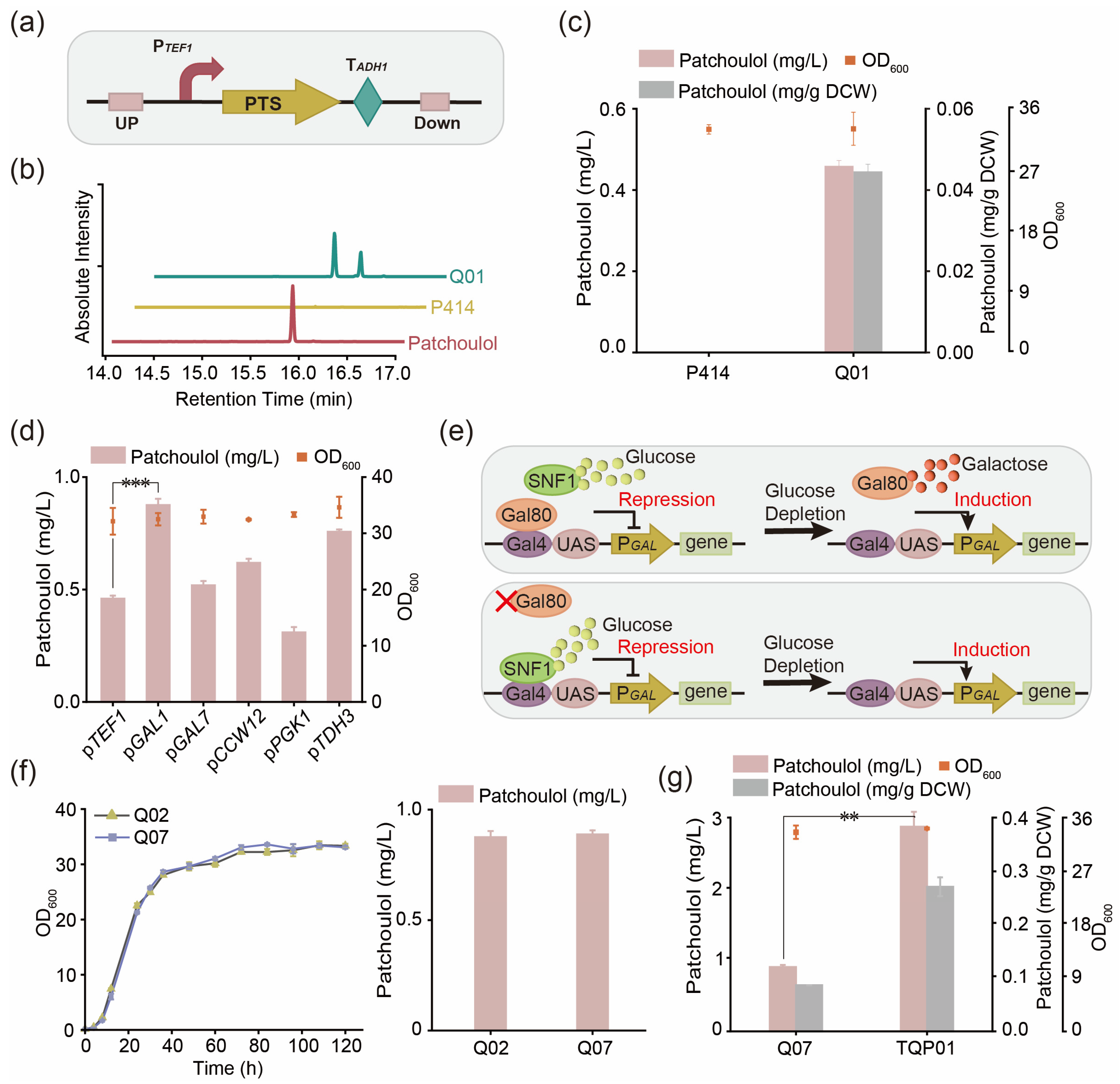 Fermentation 10 00211 g002 Fermentation 10 00211 g002