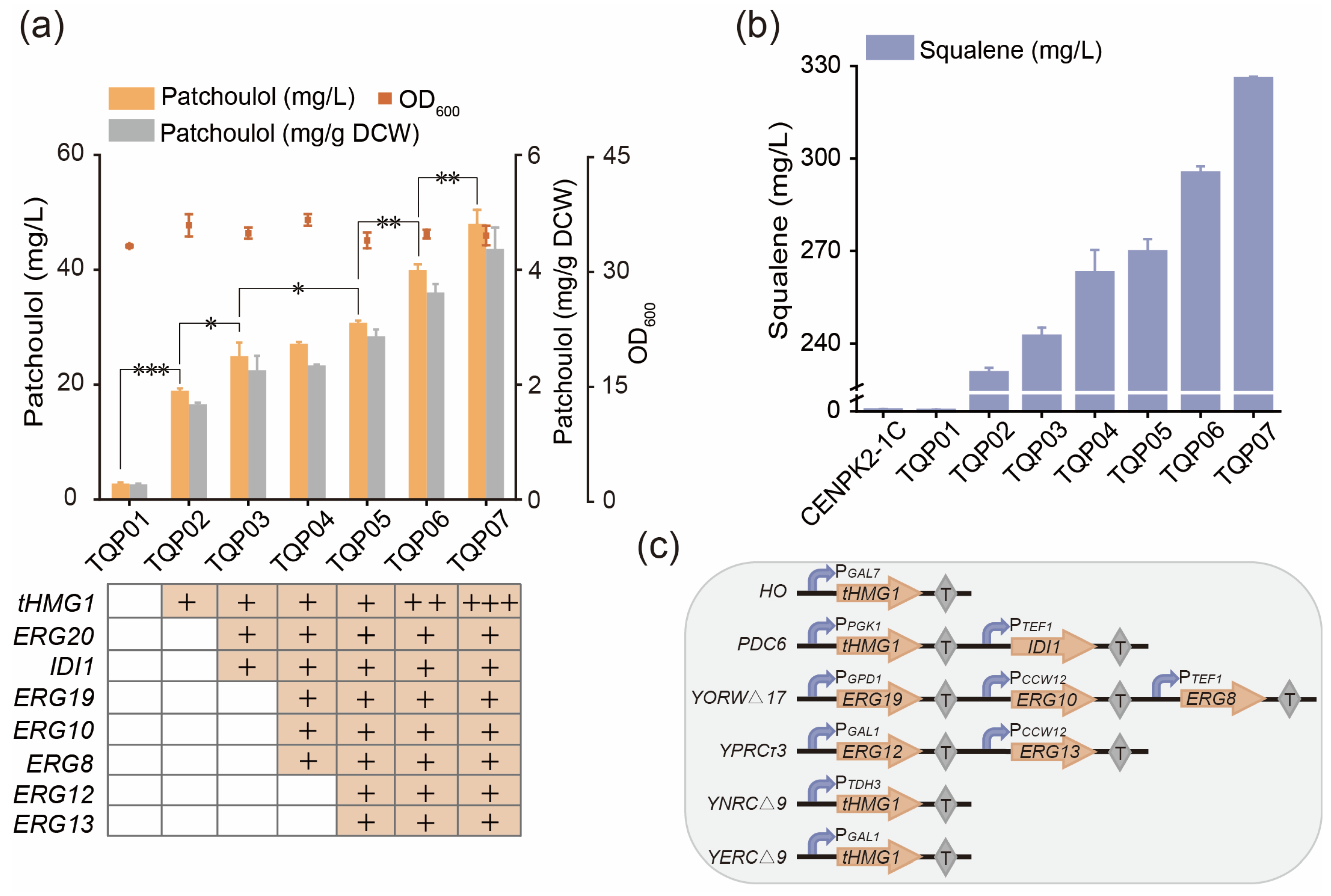 Fermentation 10 00211 g003 Fermentation 10 00211 g003