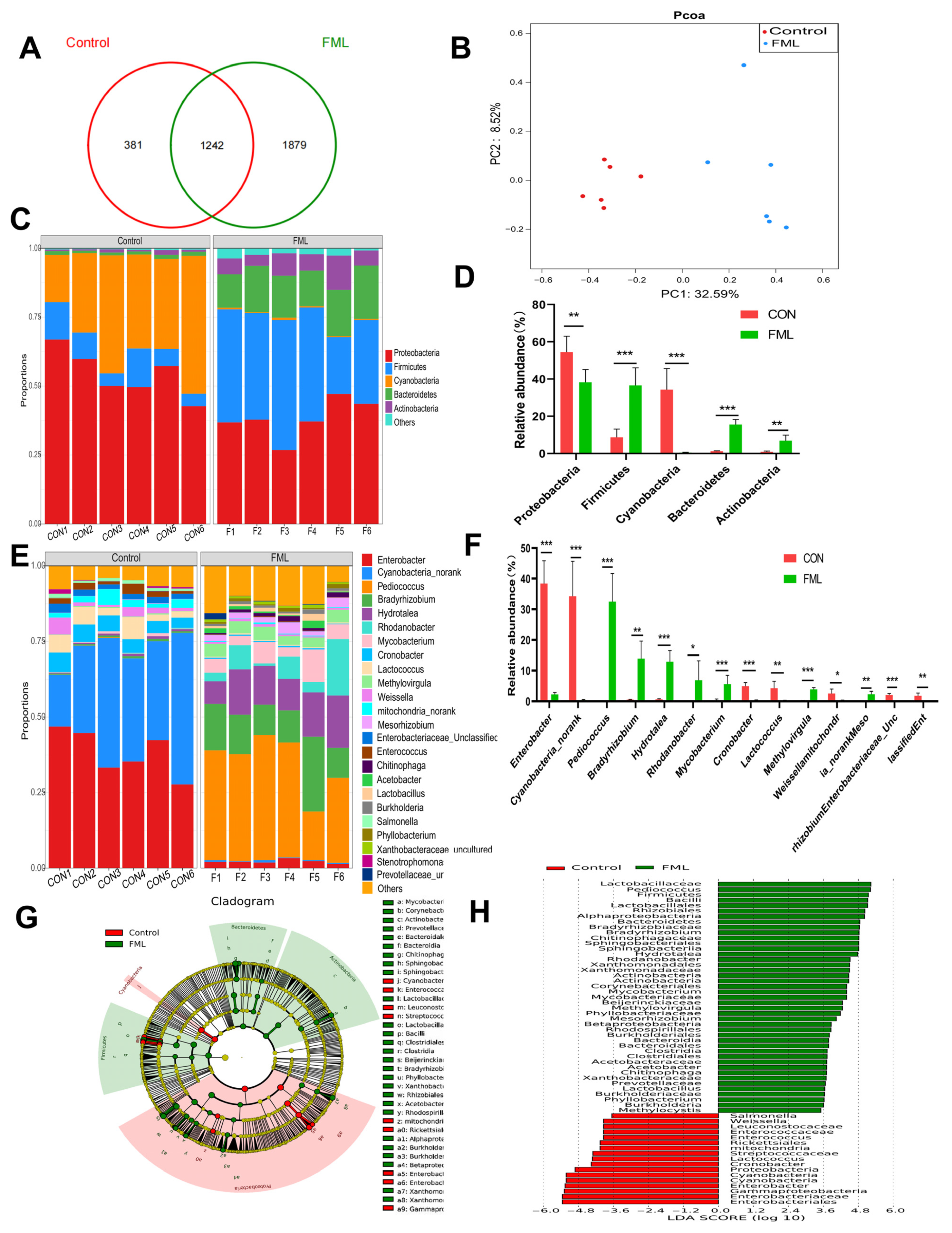Fermentation 10 00215 g001