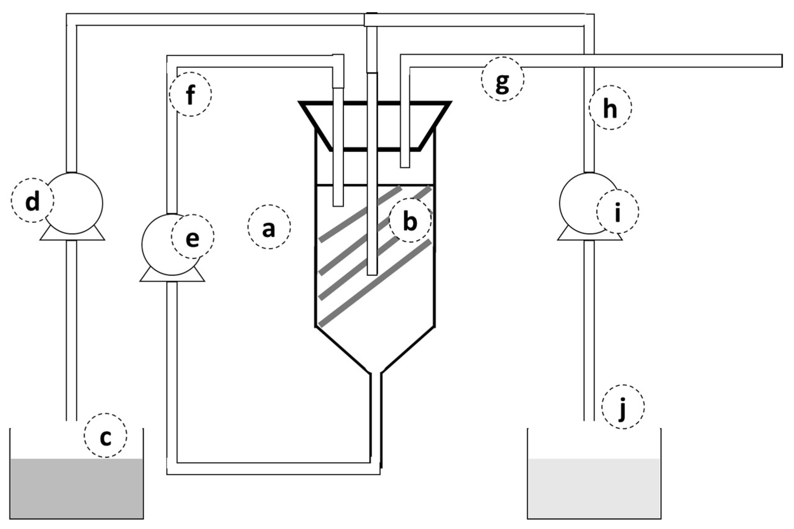 Fermentation 10 00217 g001