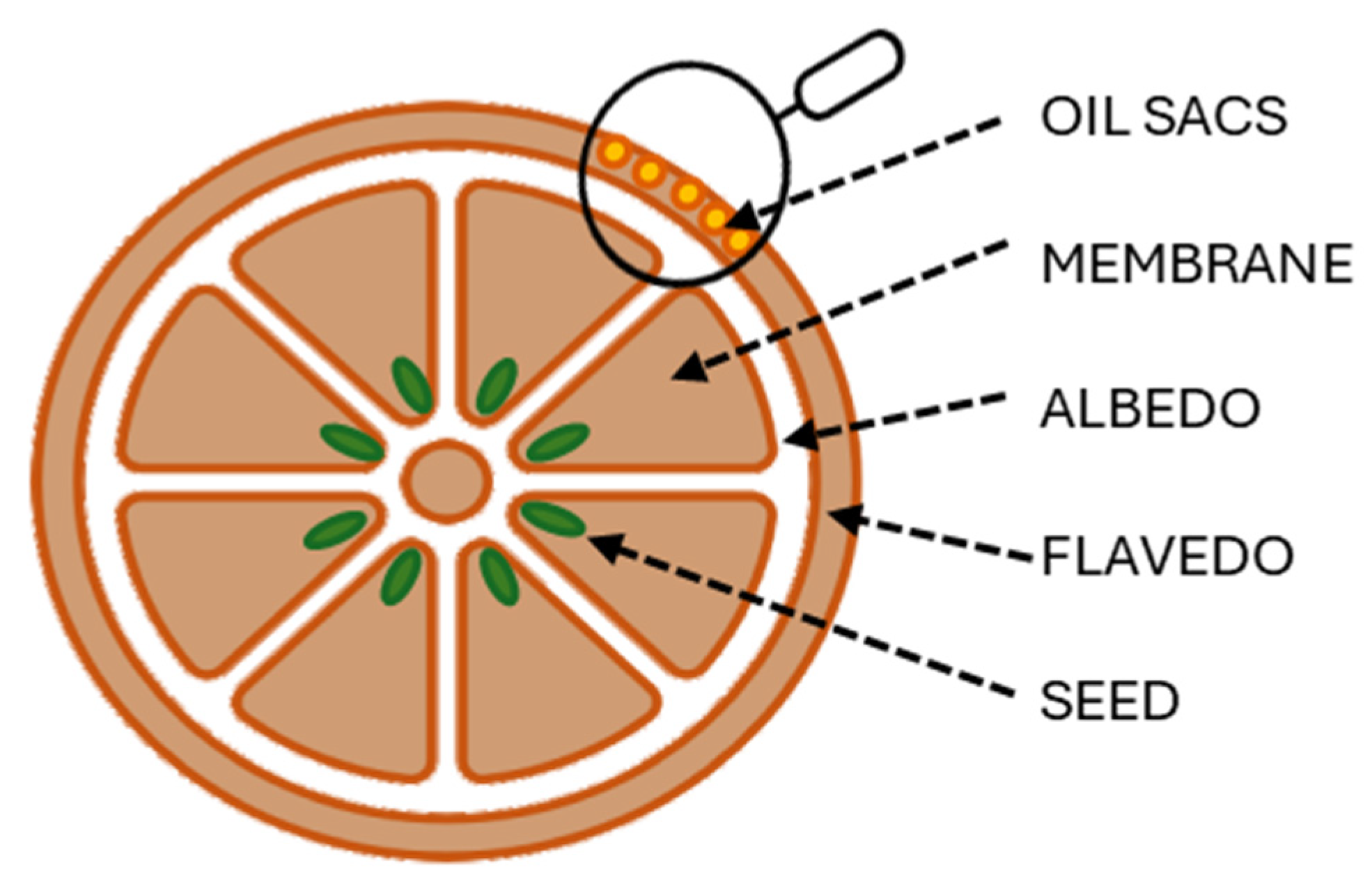 Fermentation 10 00224 g001