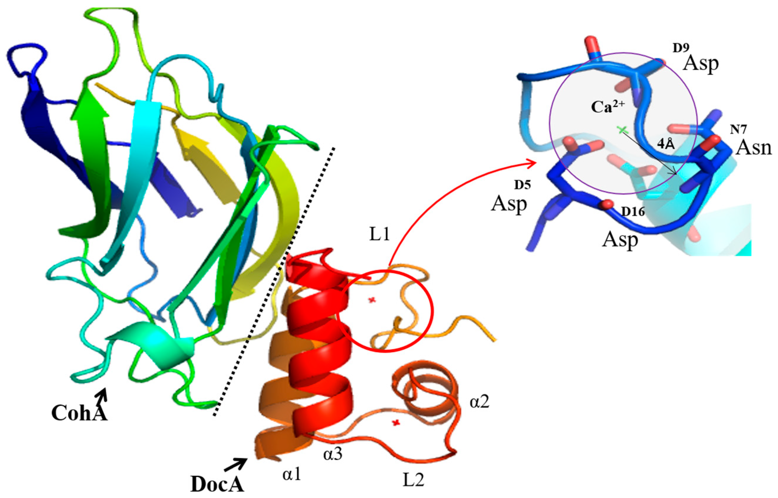 Fermentation 10 00229 g001