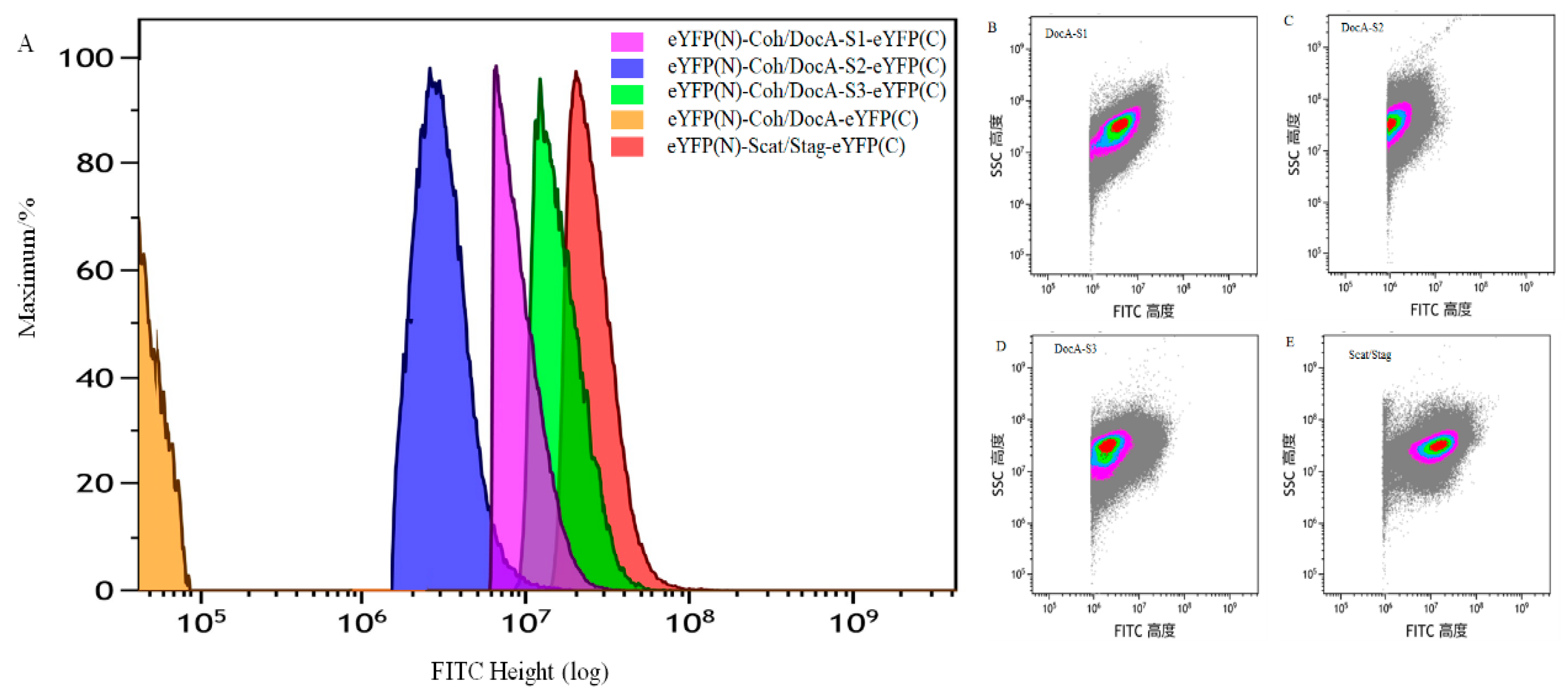 Fermentation 10 00229 g005