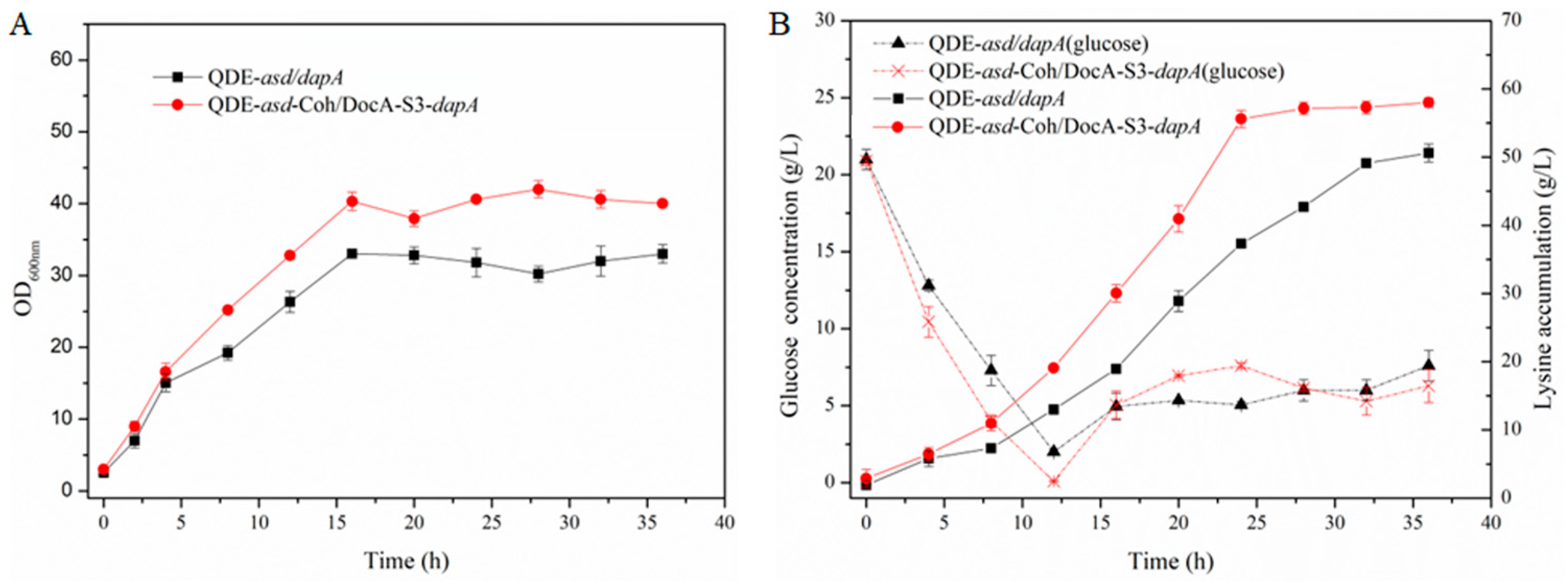 Fermentation 10 00229 g010