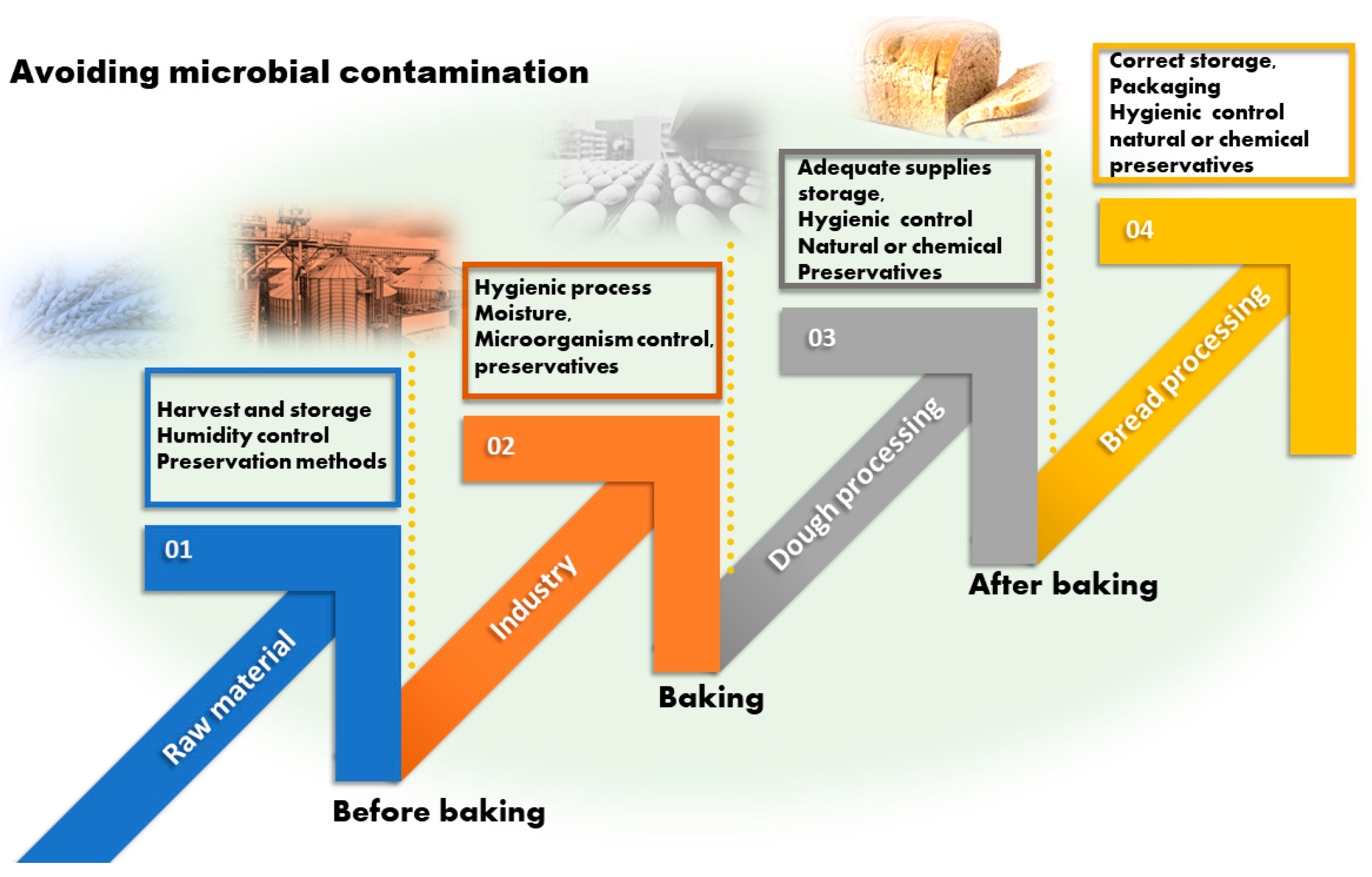 Fermentation 10 00231 g002