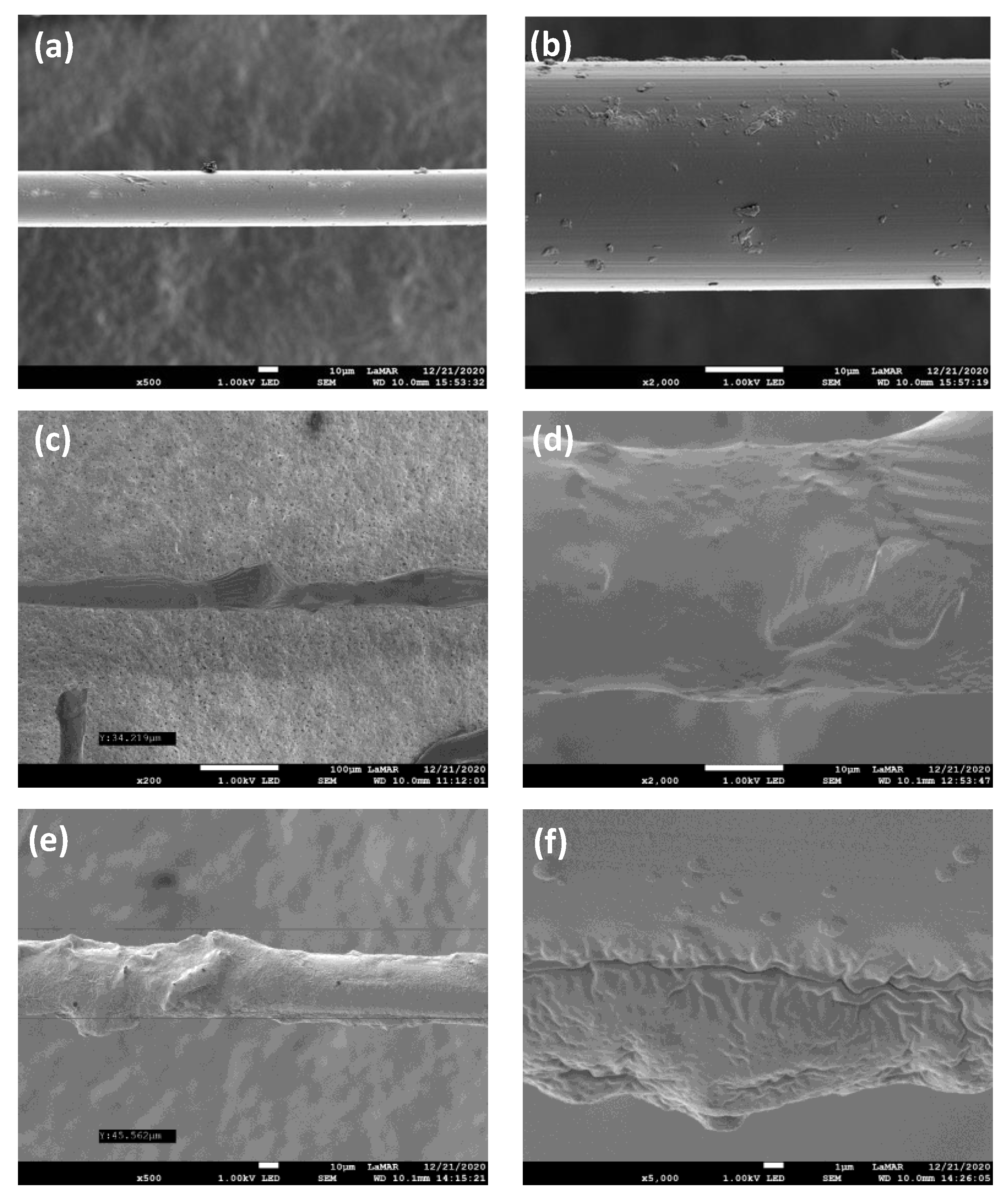 Fermentation 10 00239 g006