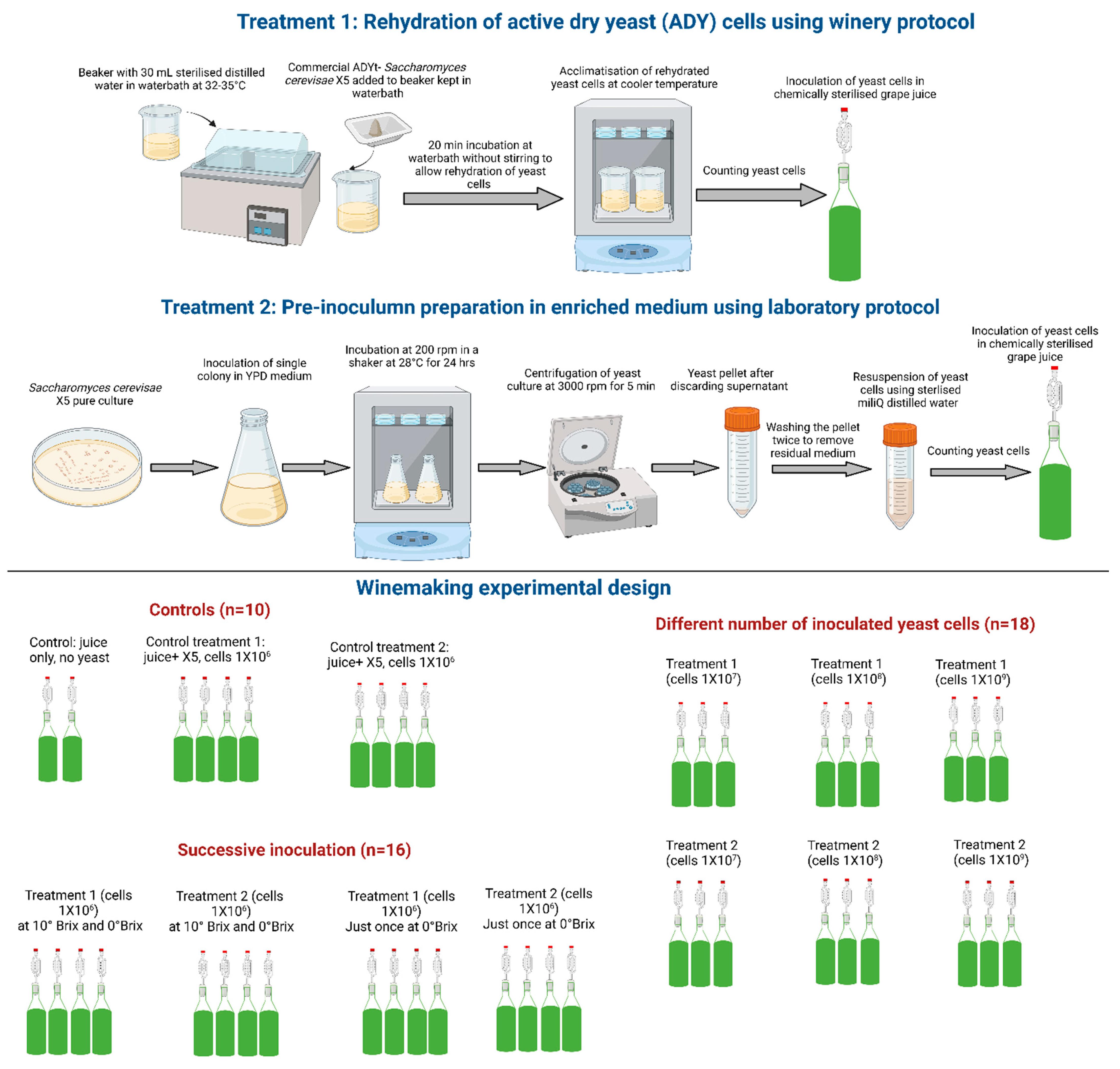 Fermentation 10 00244 g001