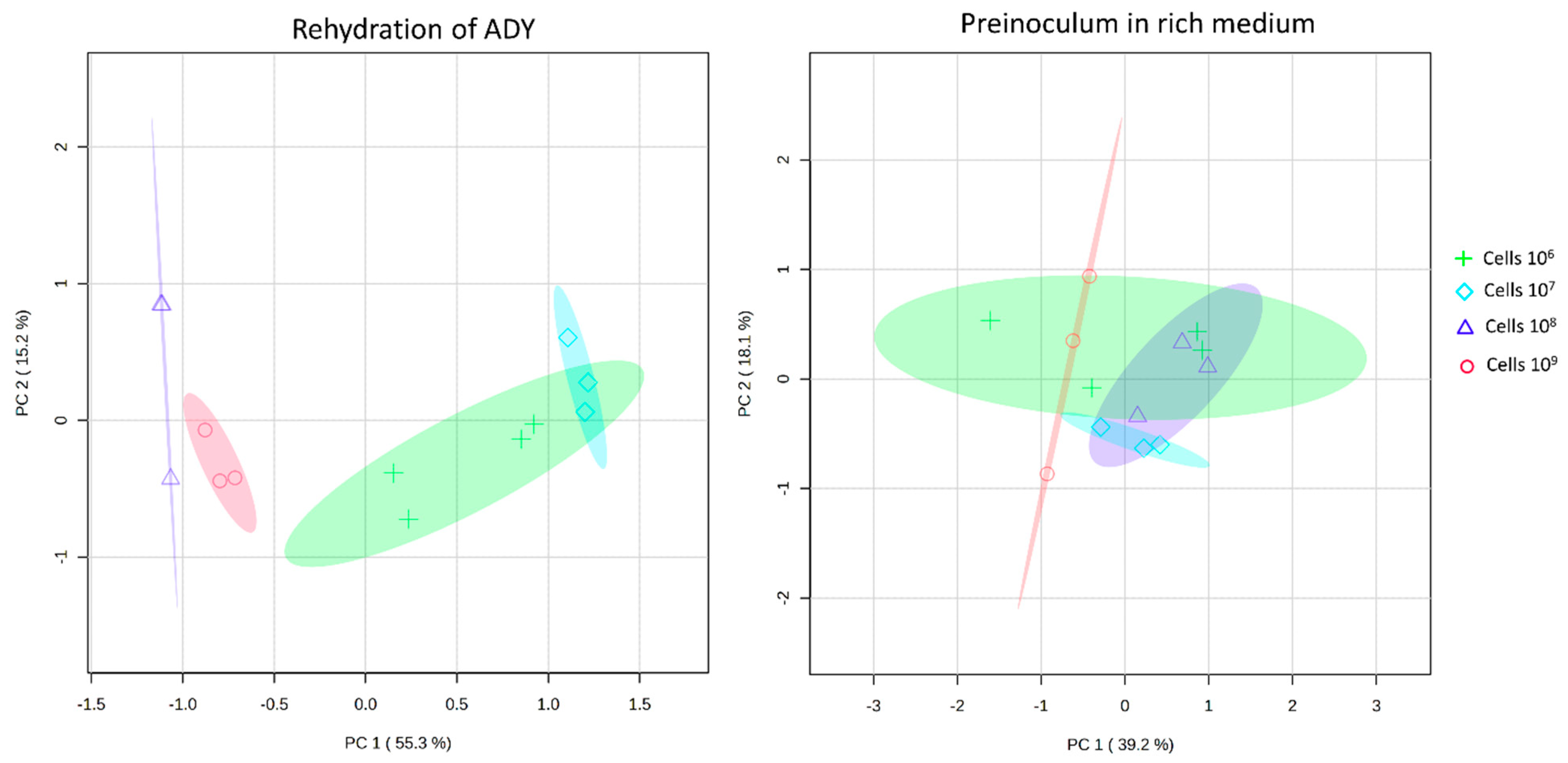 Fermentation 10 00244 g004