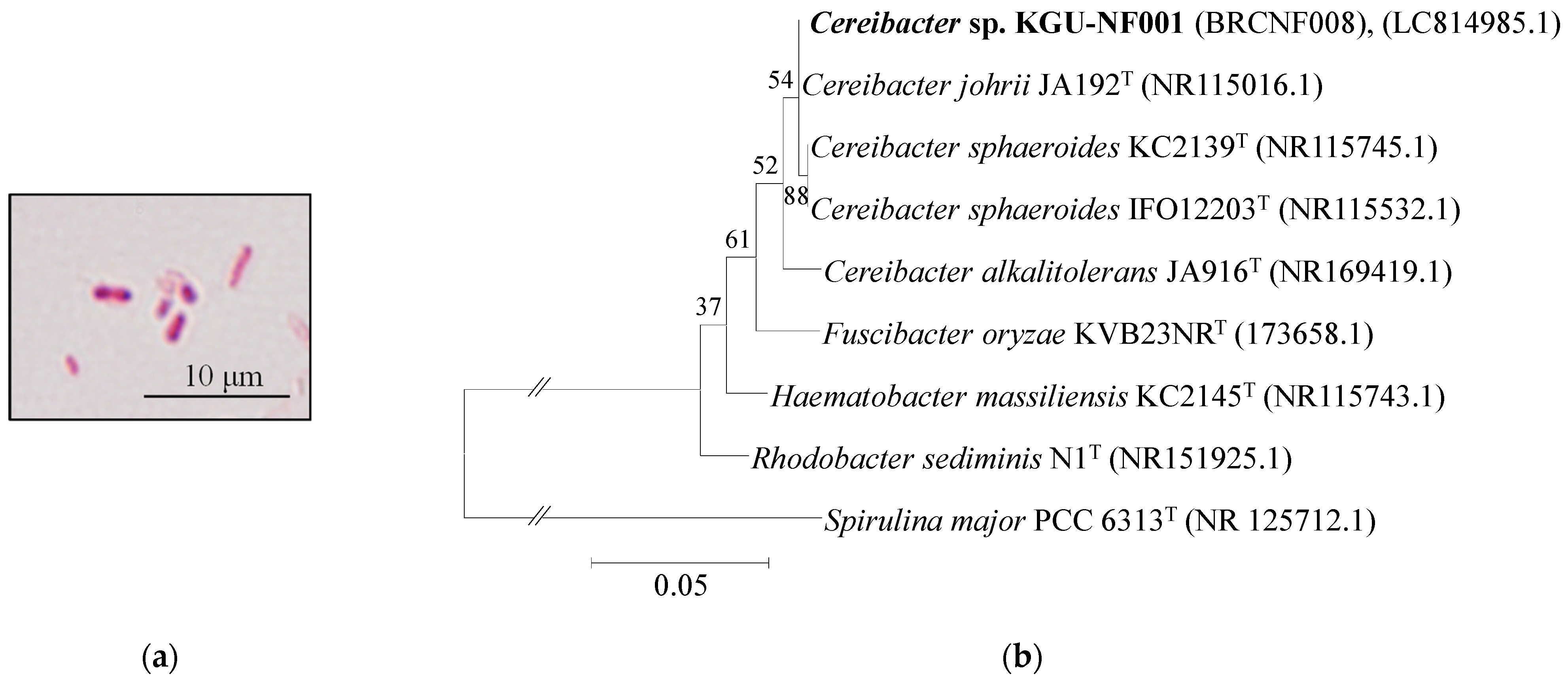 Fermentation 10 00248 g004