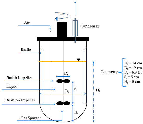 Enhanced Oxygen Mass Transfer in Mixing Bioreactor Using