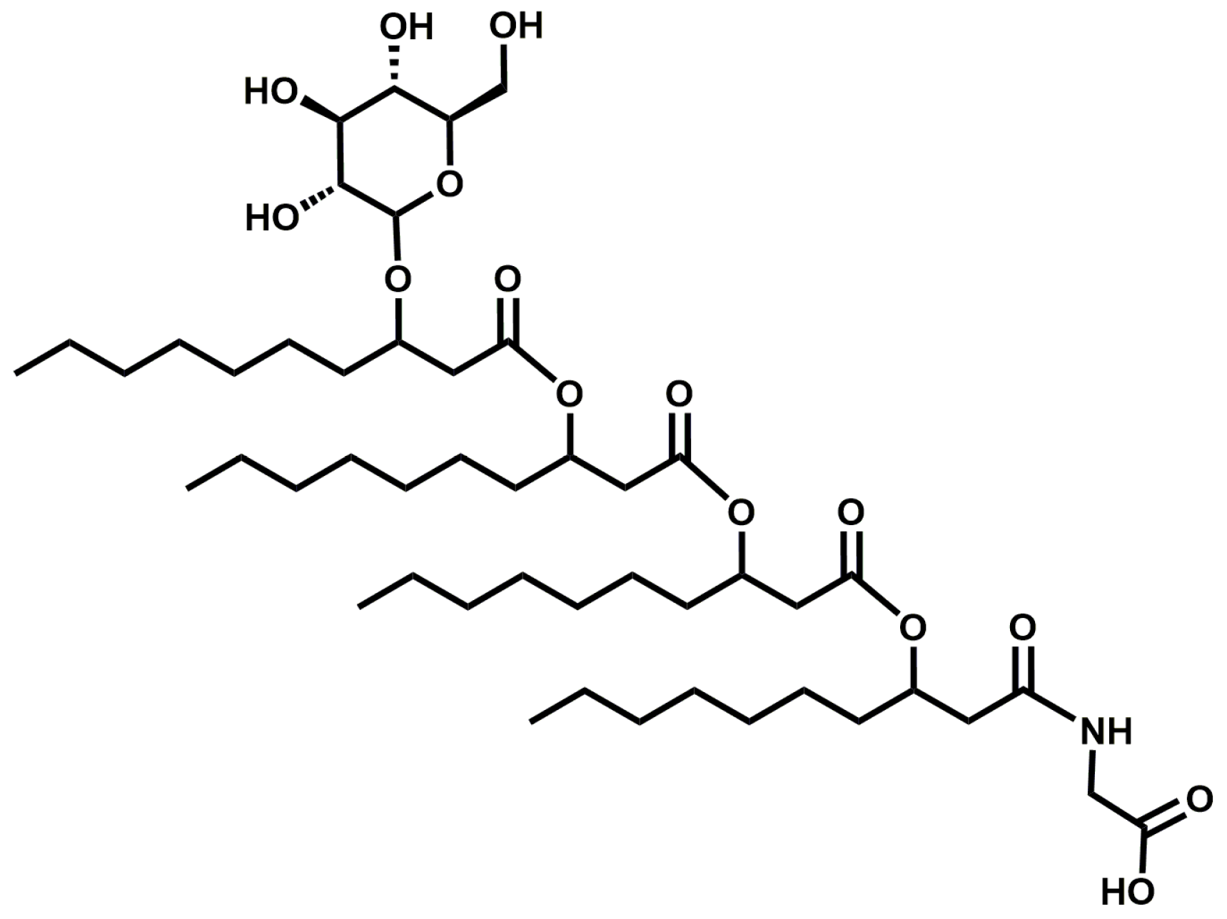 Fermentation 10 00257 g001