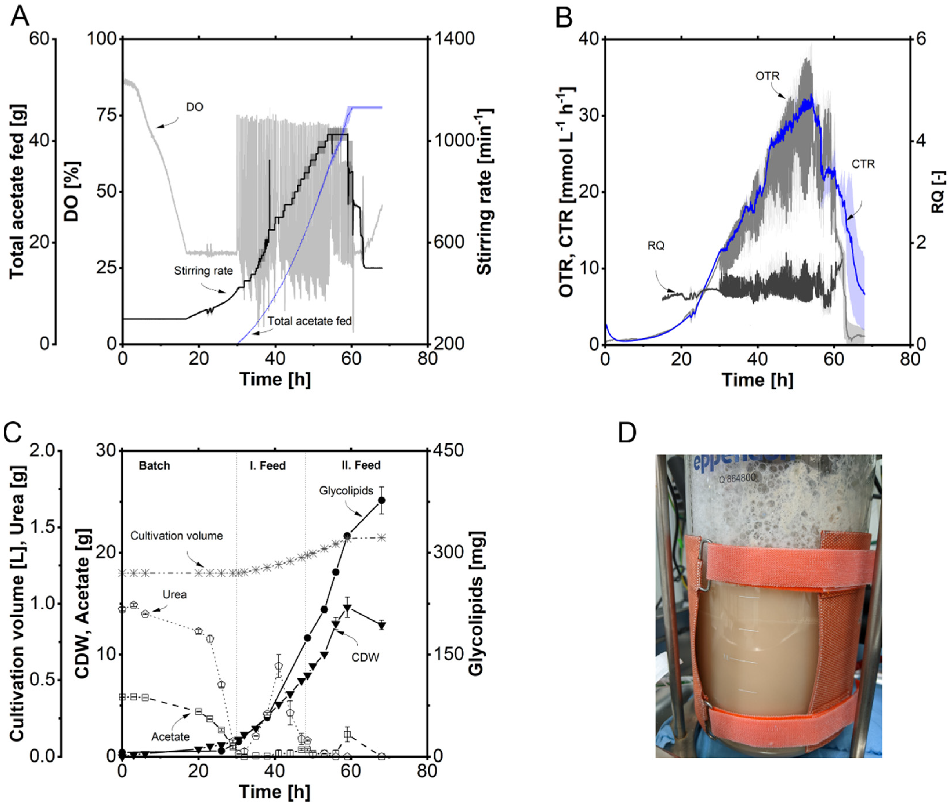 Fermentation 10 00257 g005
