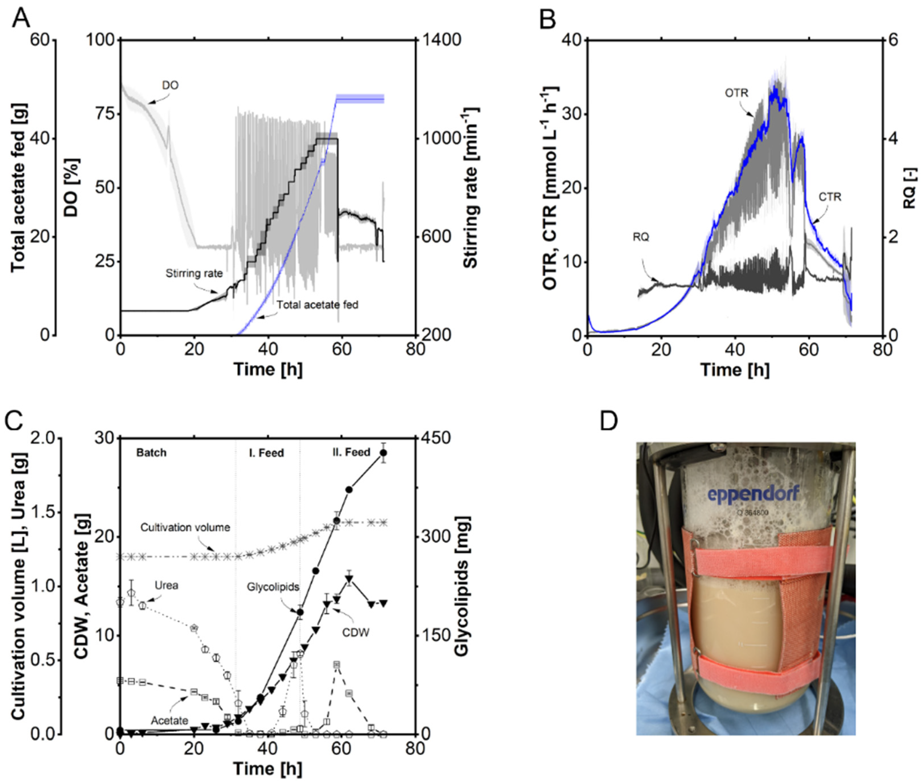 Fermentation 10 00257 g006