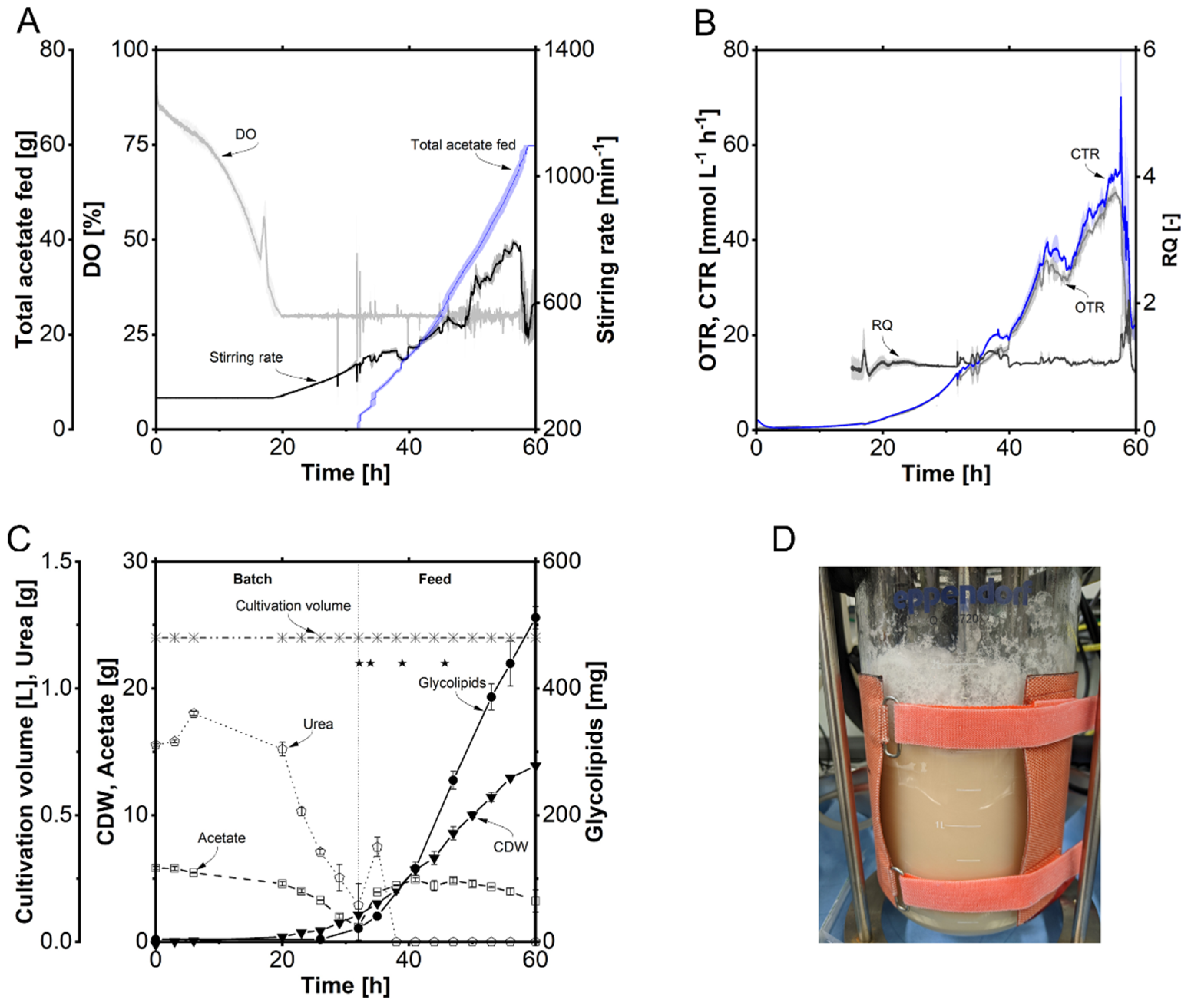 Fermentation 10 00257 g007