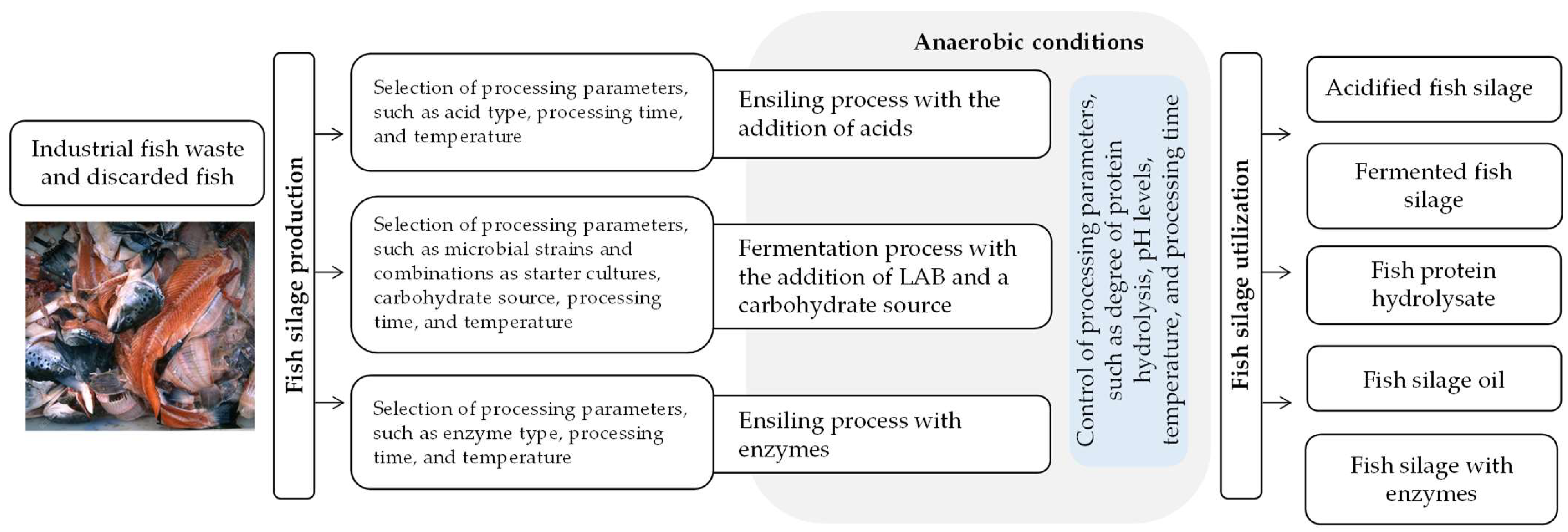 Fermentation 10 00258 g001