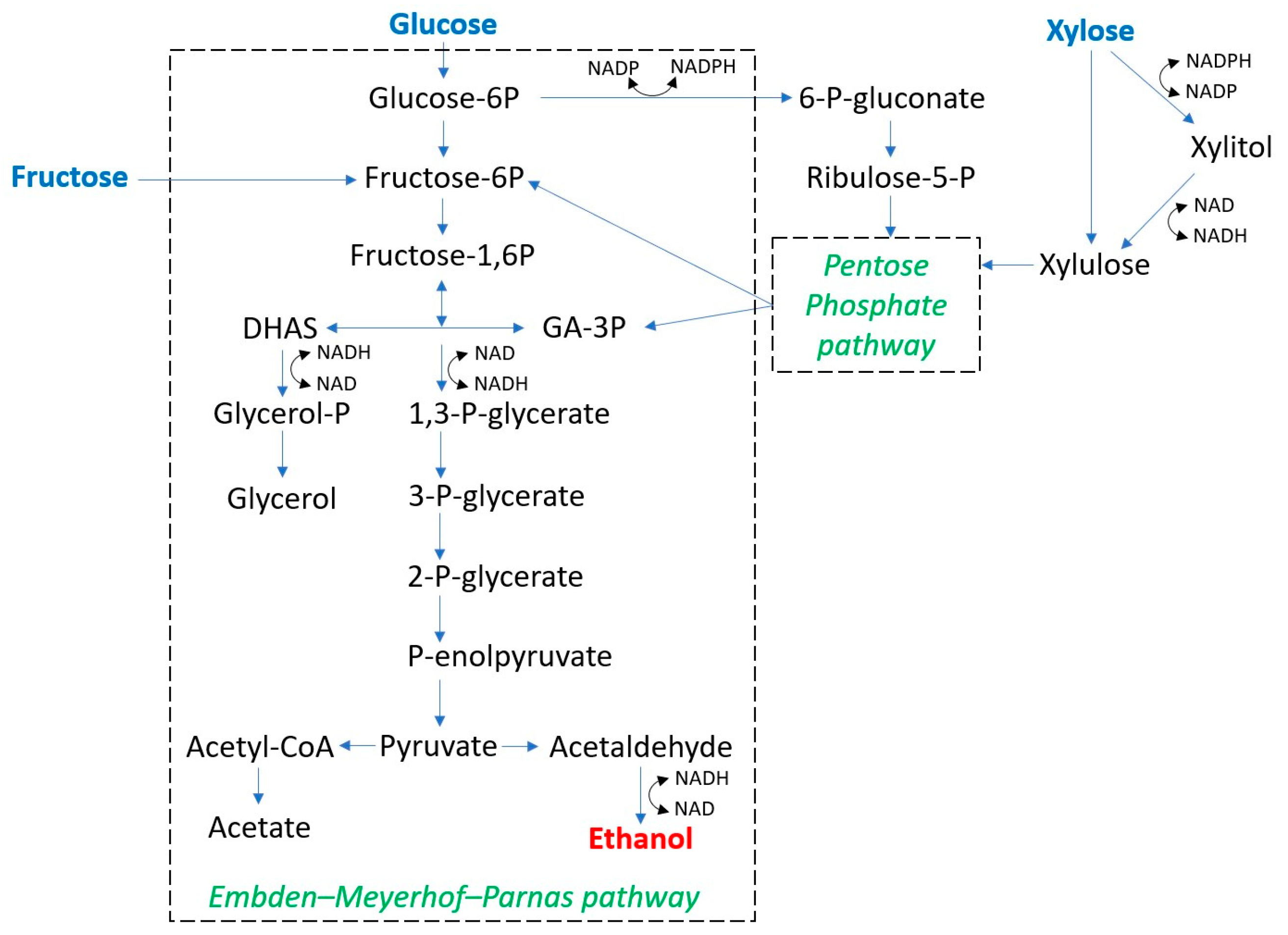Fermentation 10 00260 g004