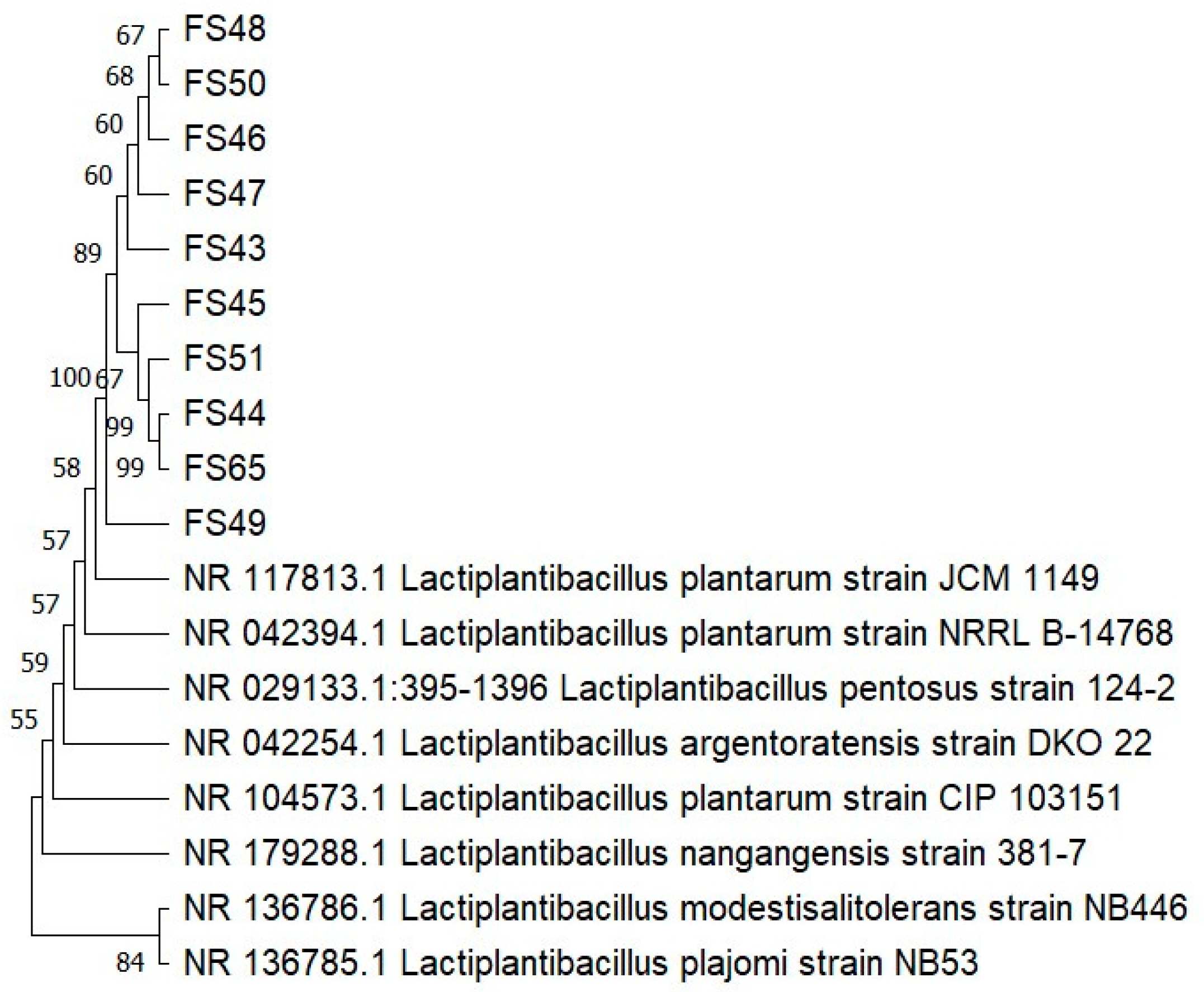 Fermentation 10 00264 g001