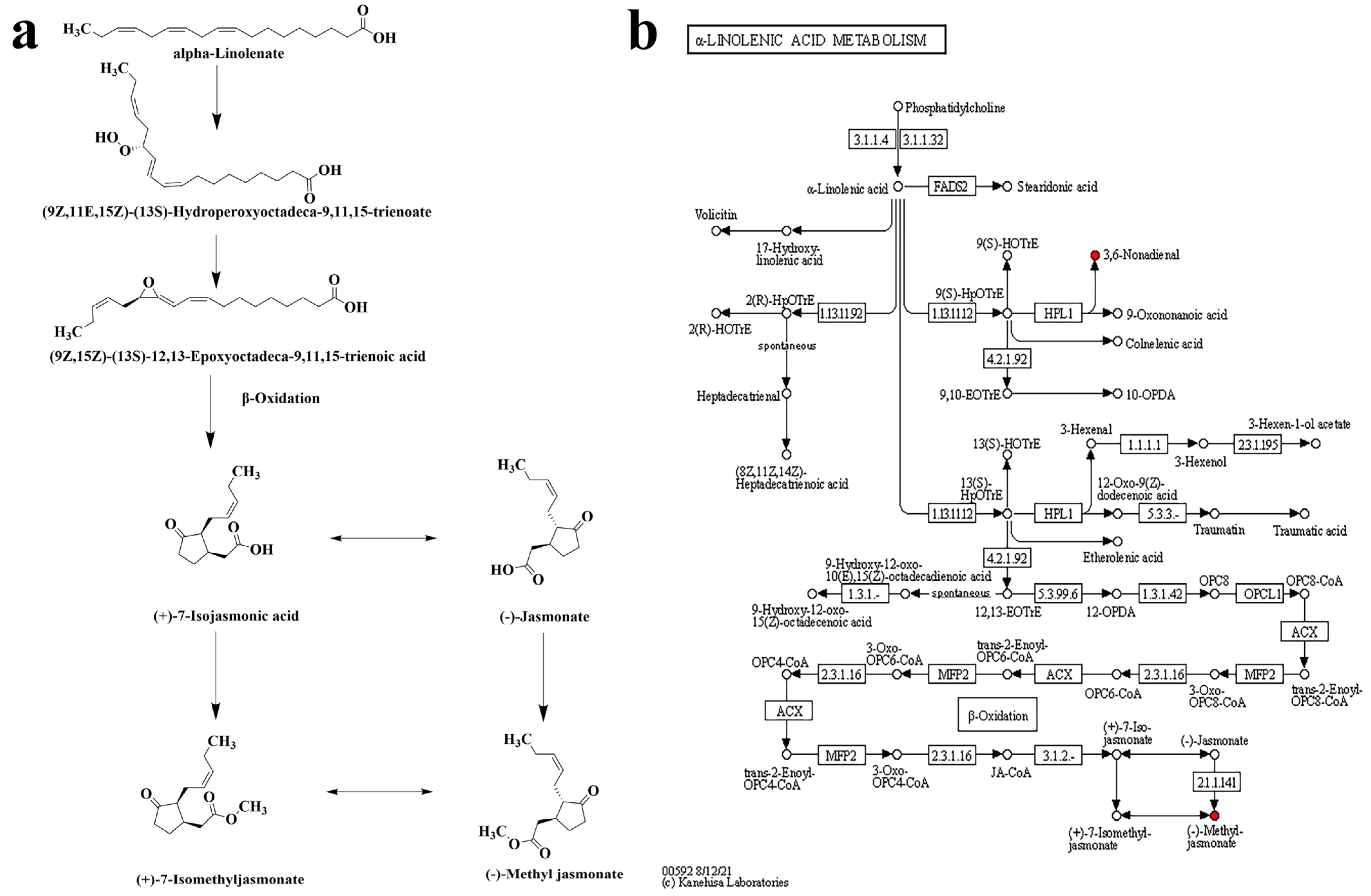 Fermentation 10 00266 g004 Fermentation 10 00266 g004